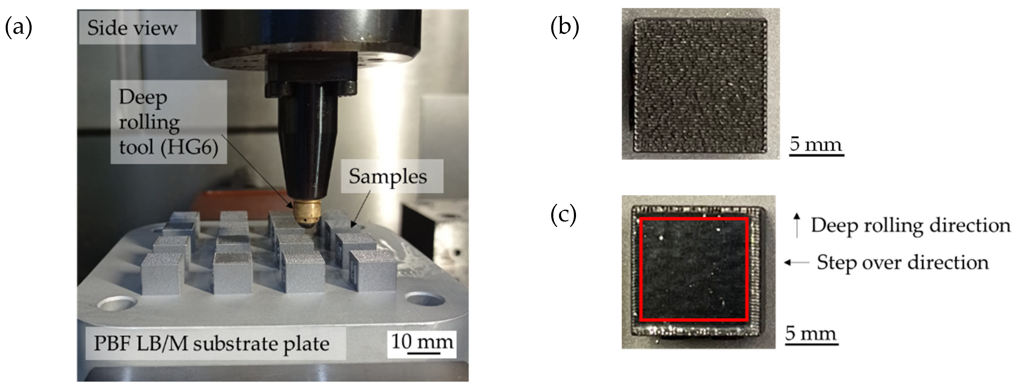 Preprints 72152 g003