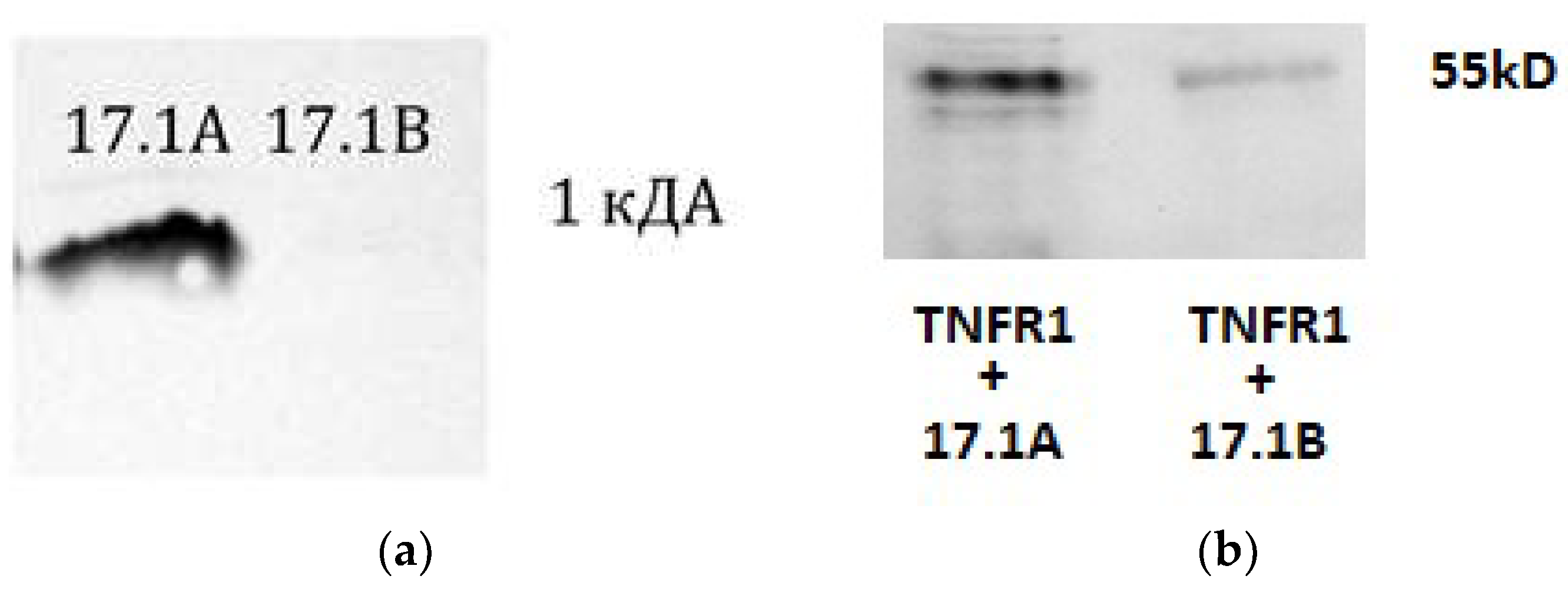 Preprints 77476 g001