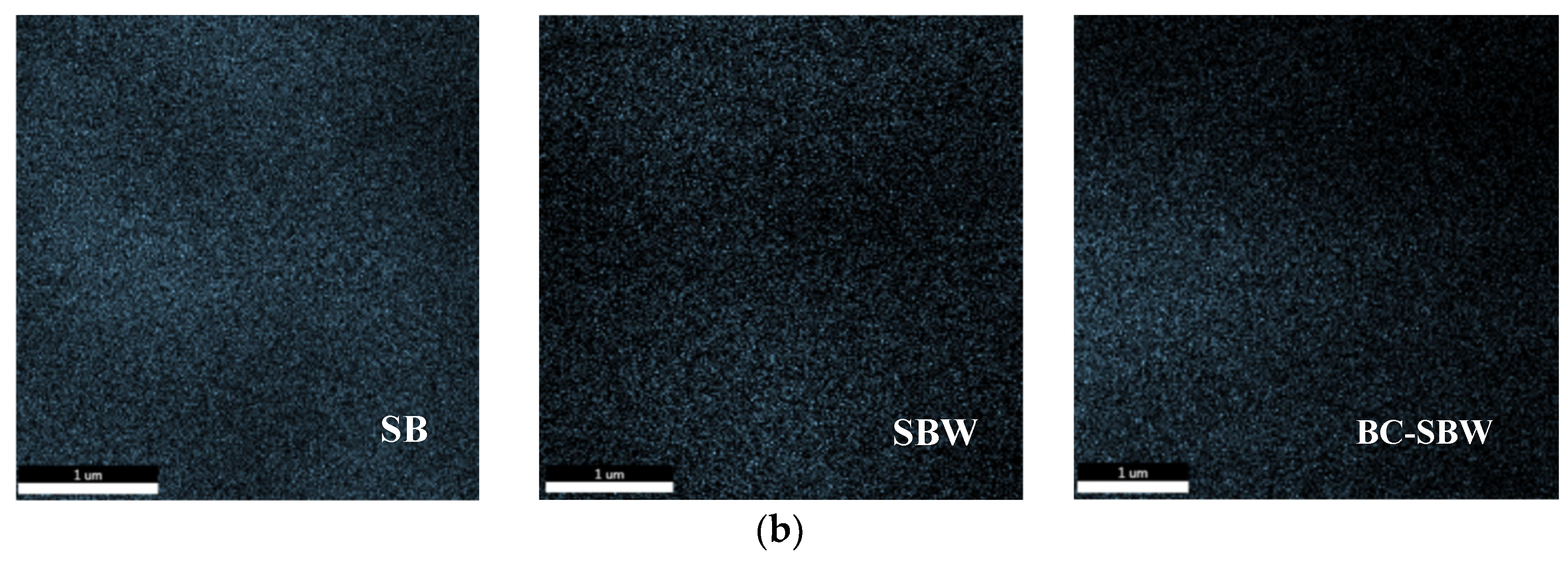 Preprints 116258 g002b