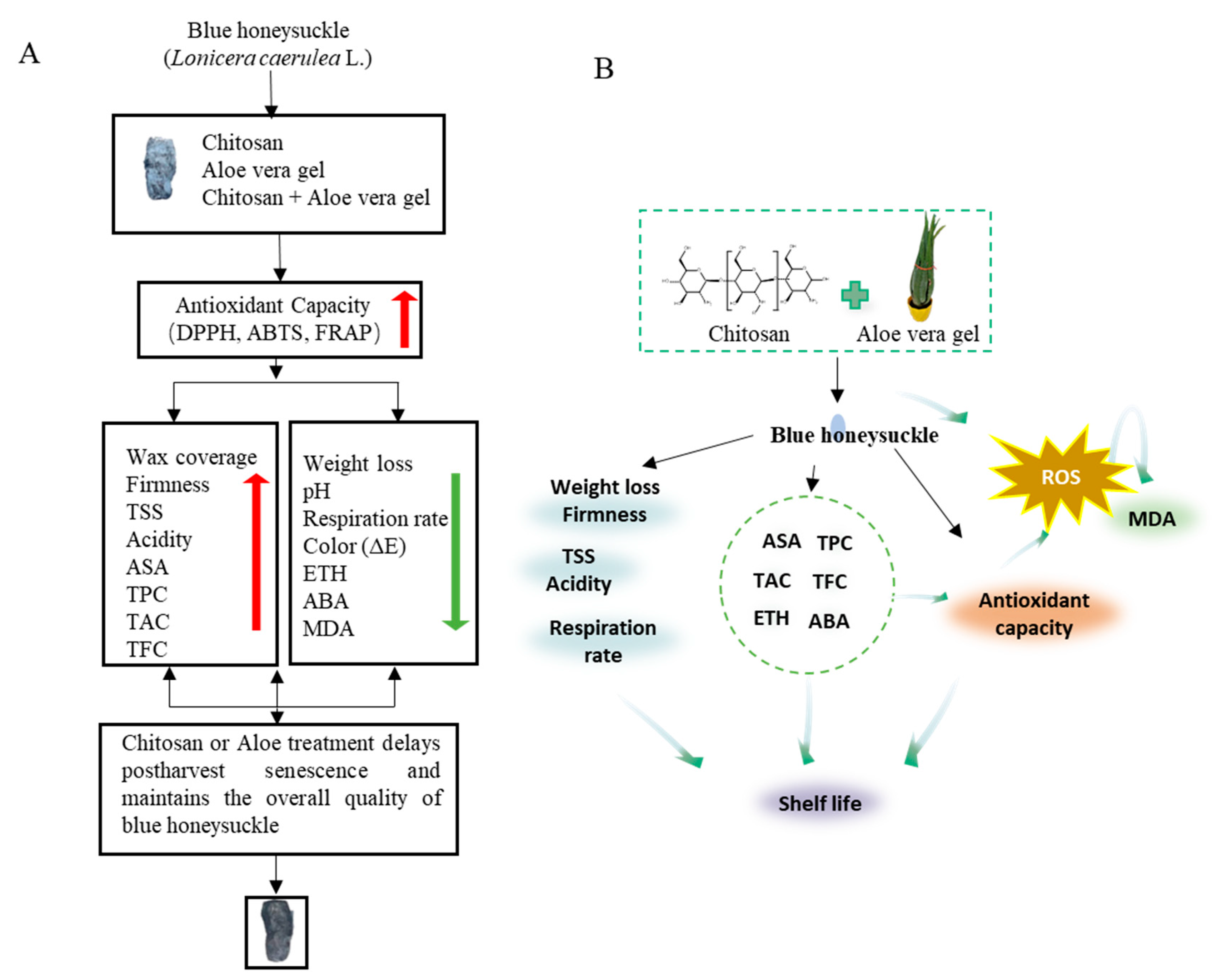 Preprints 96562 g005