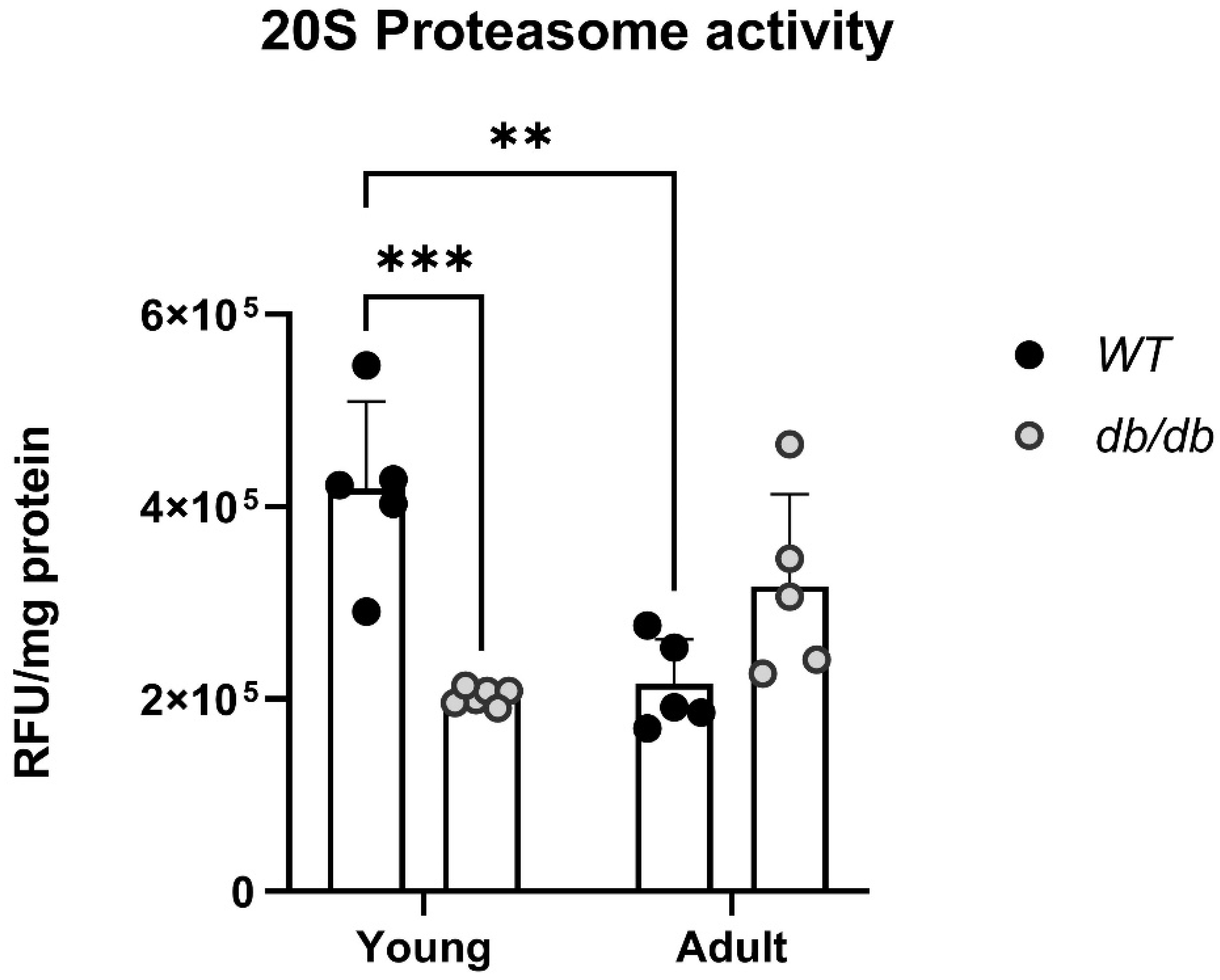 Preprints 82100 g003