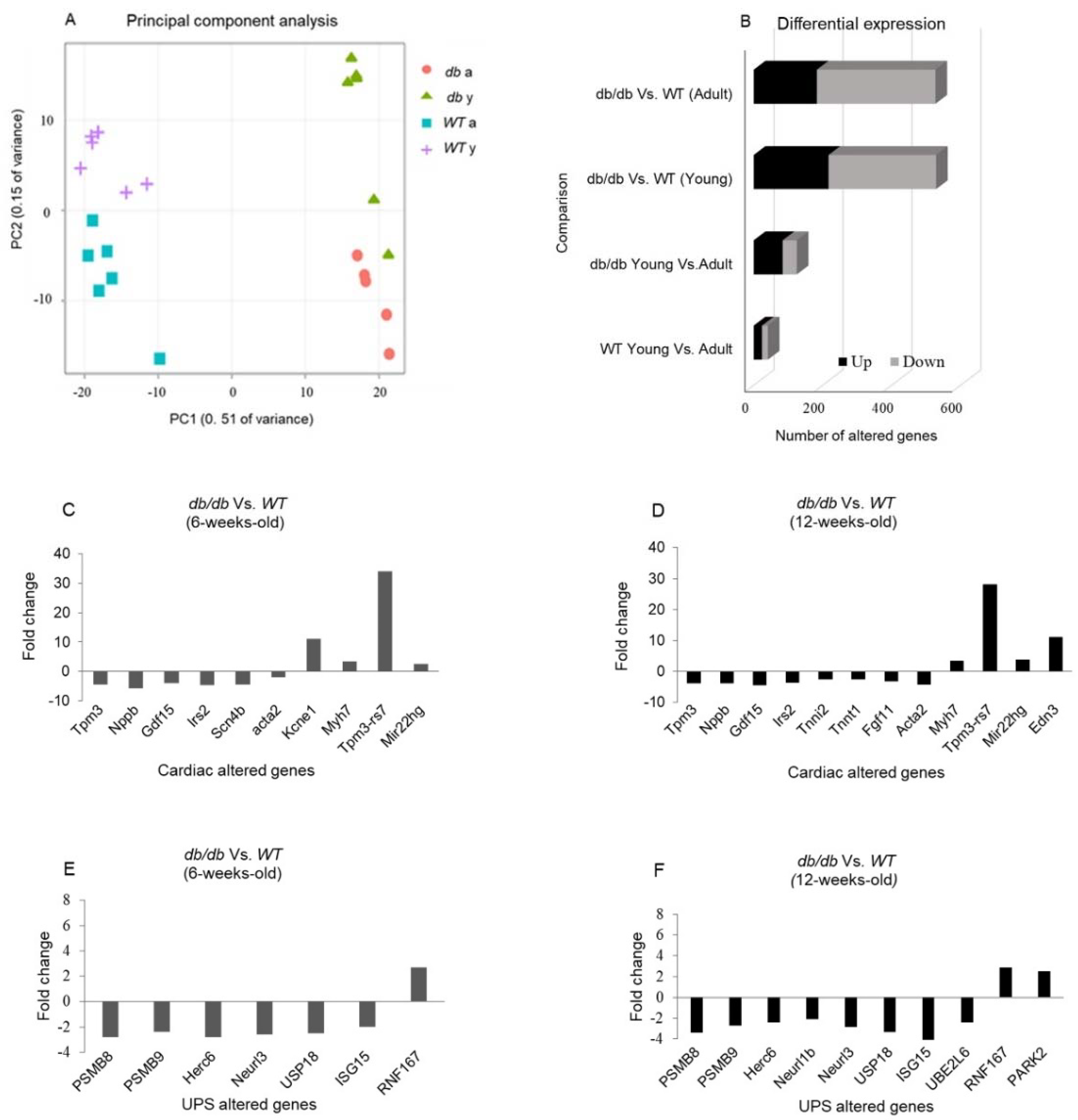 Preprints 82100 g004