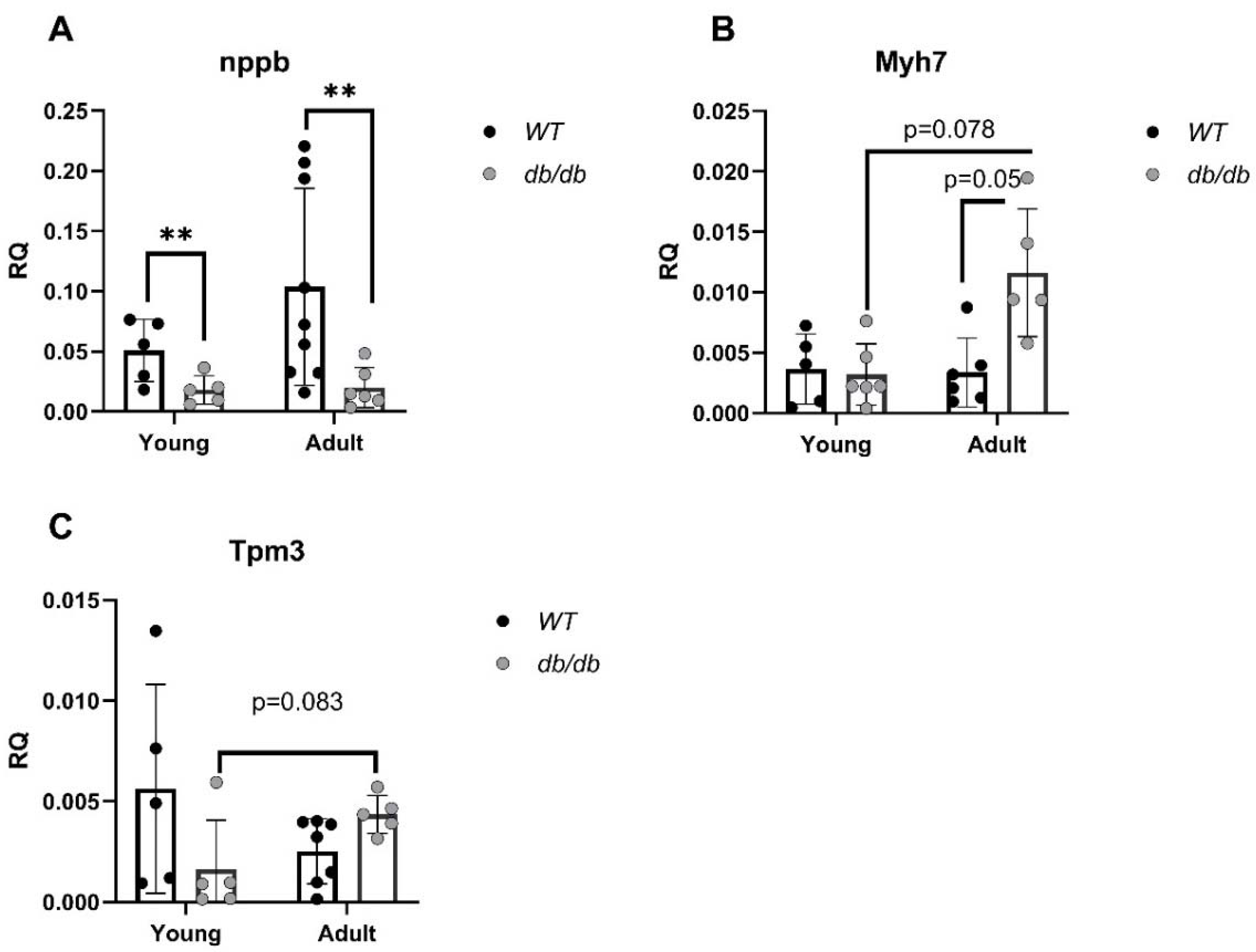 Preprints 82100 g005