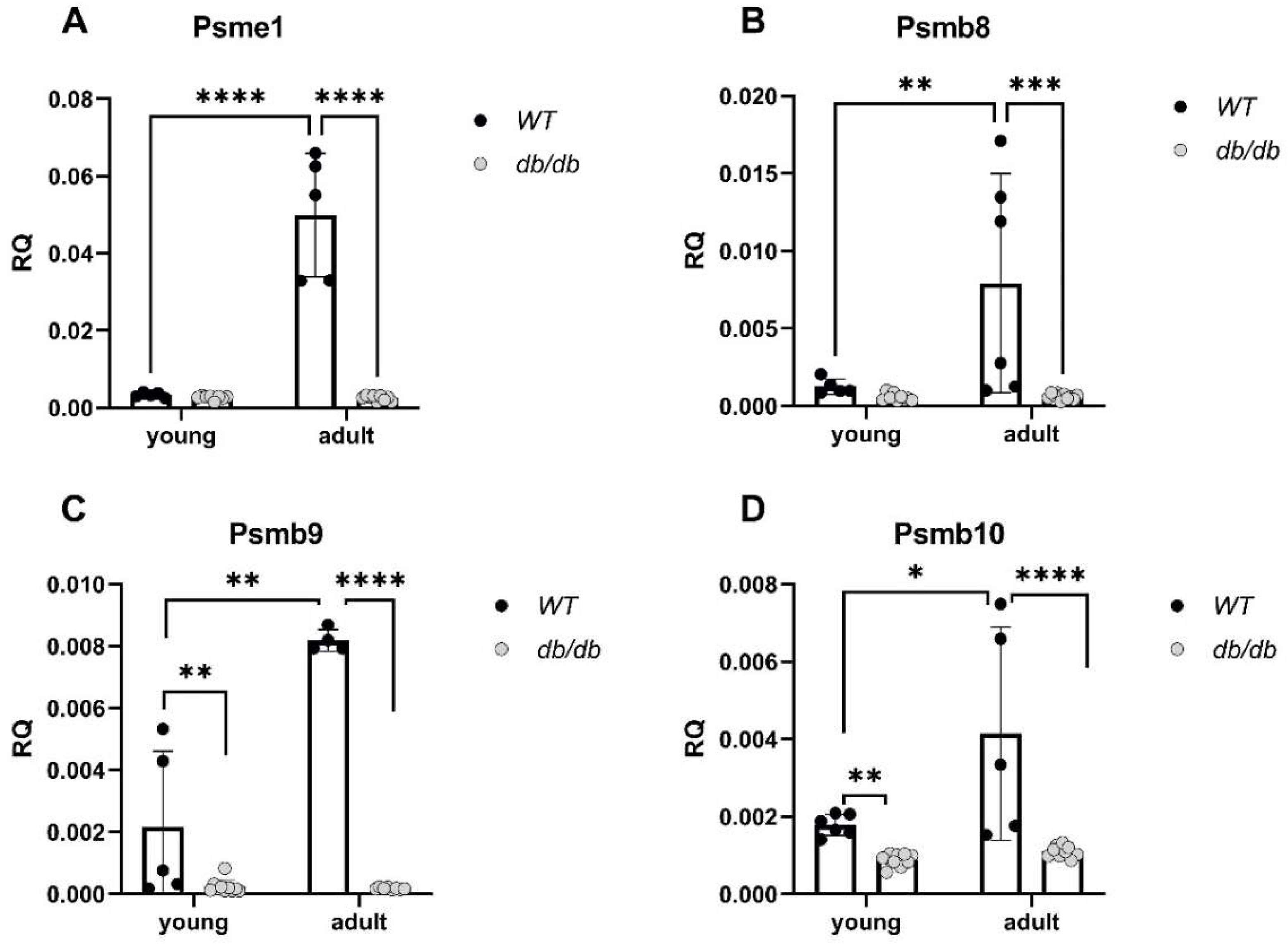 Preprints 82100 g006