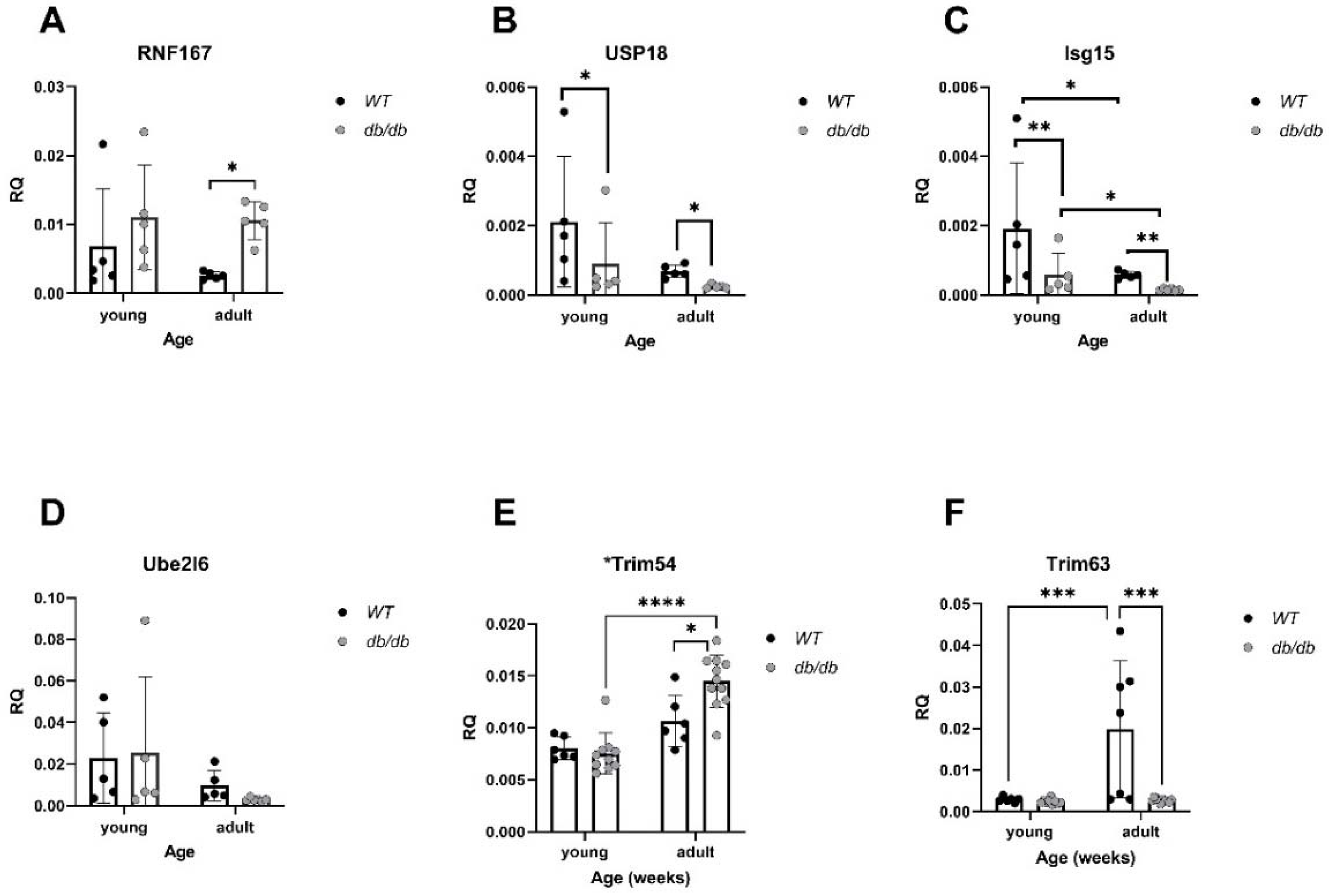 Preprints 82100 g007