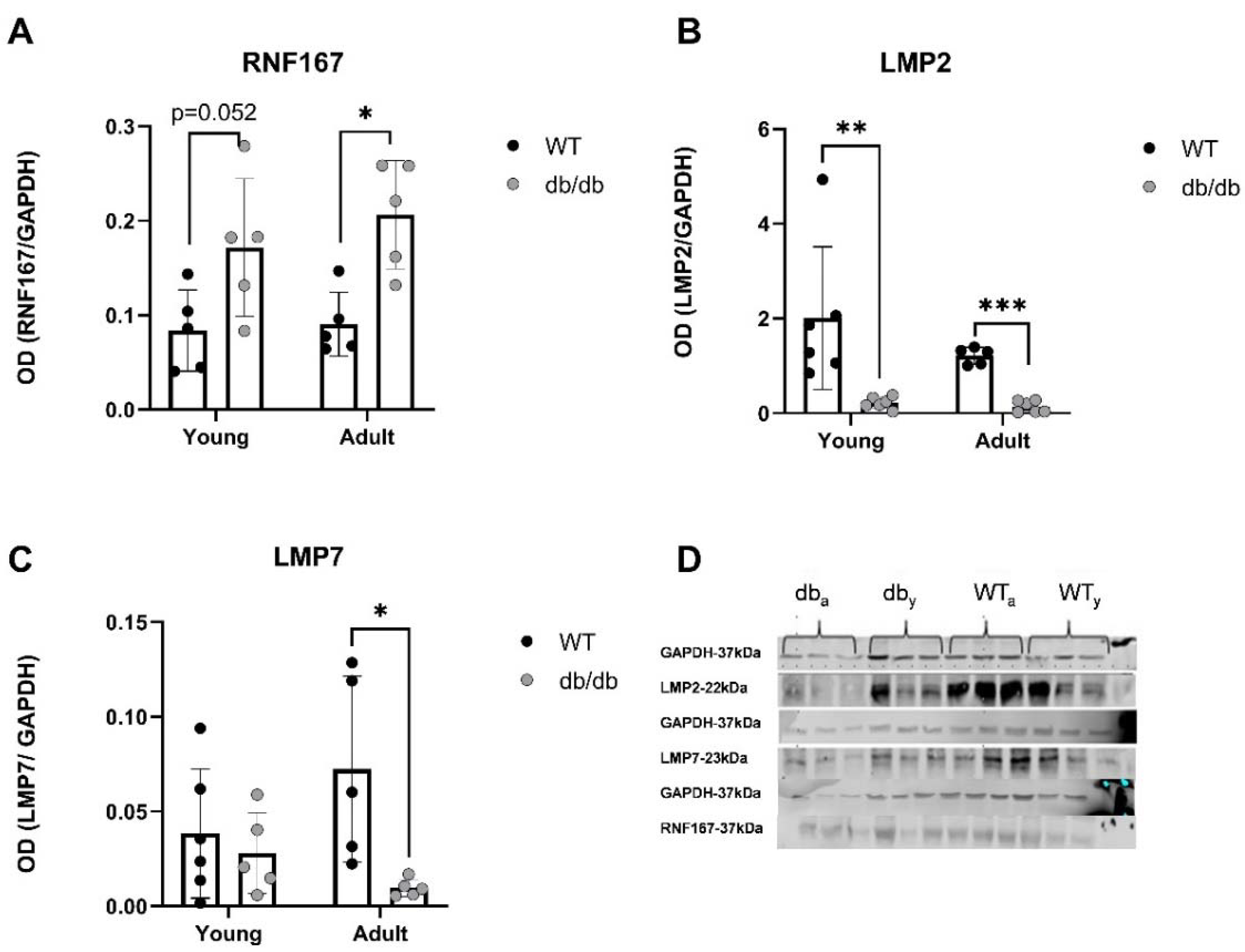 Preprints 82100 g008