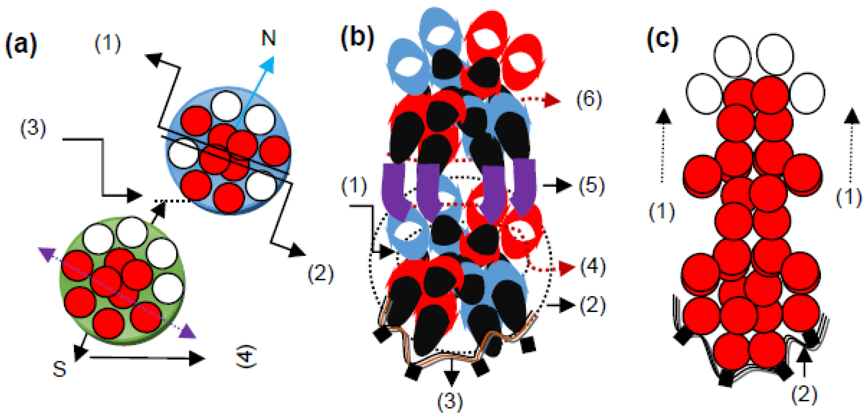 Preprints 82934 g004