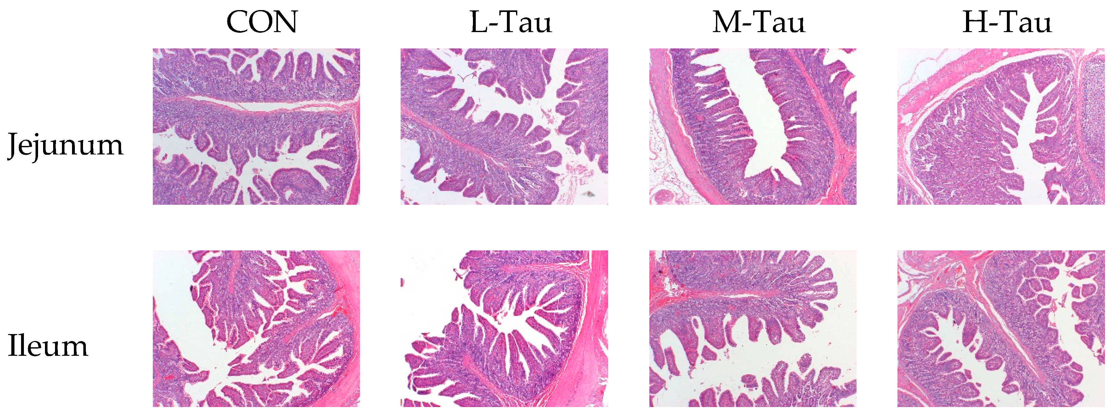 Preprints 79870 g002