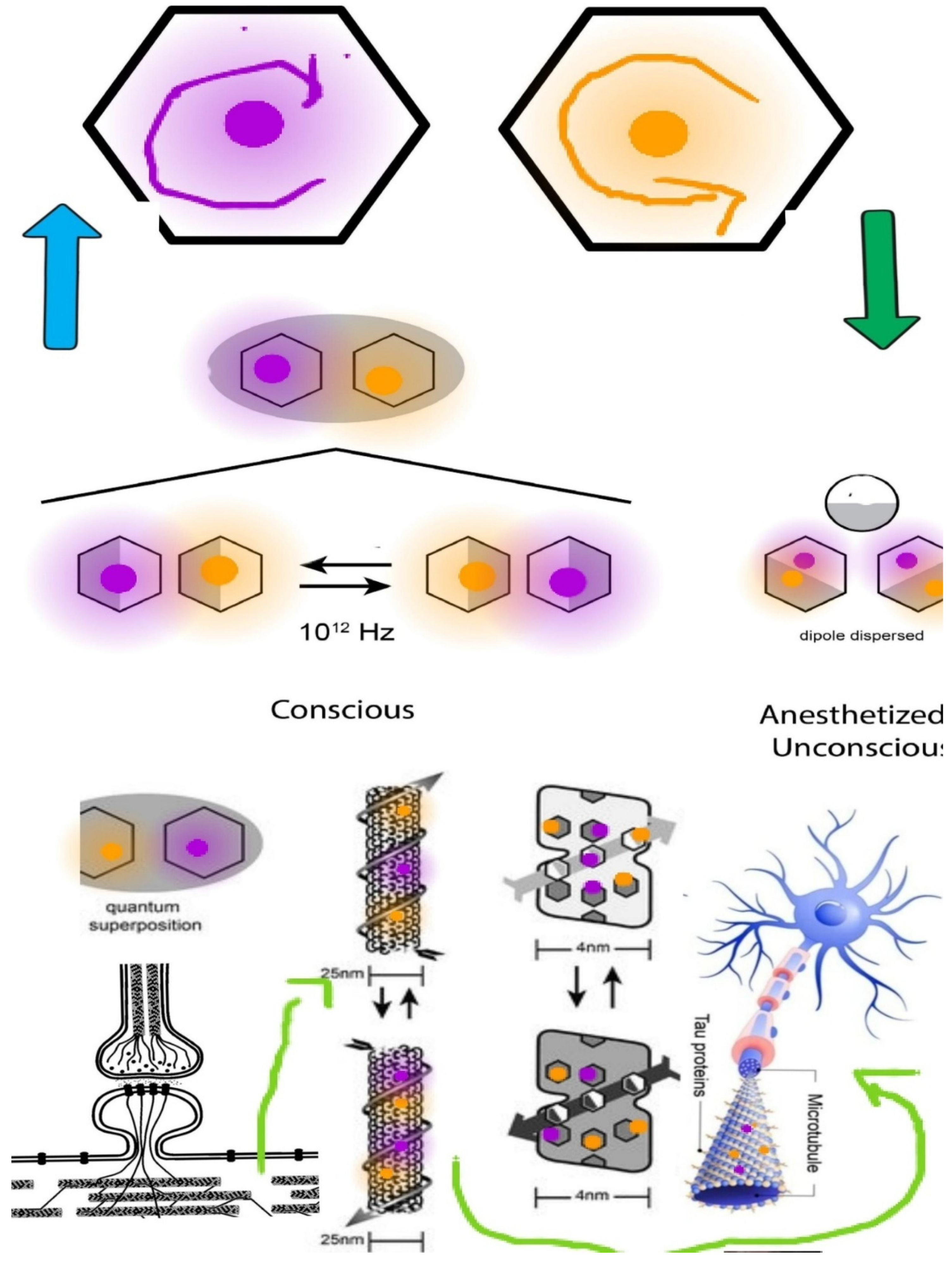 Preprints 108523 g001