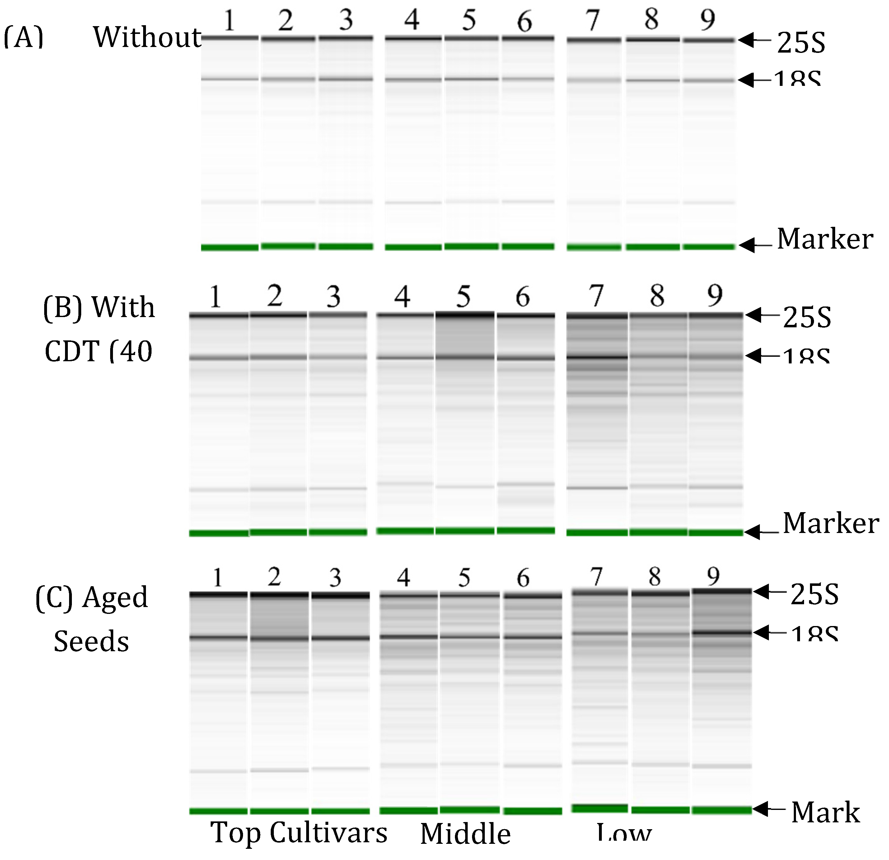 Preprints 108037 g004