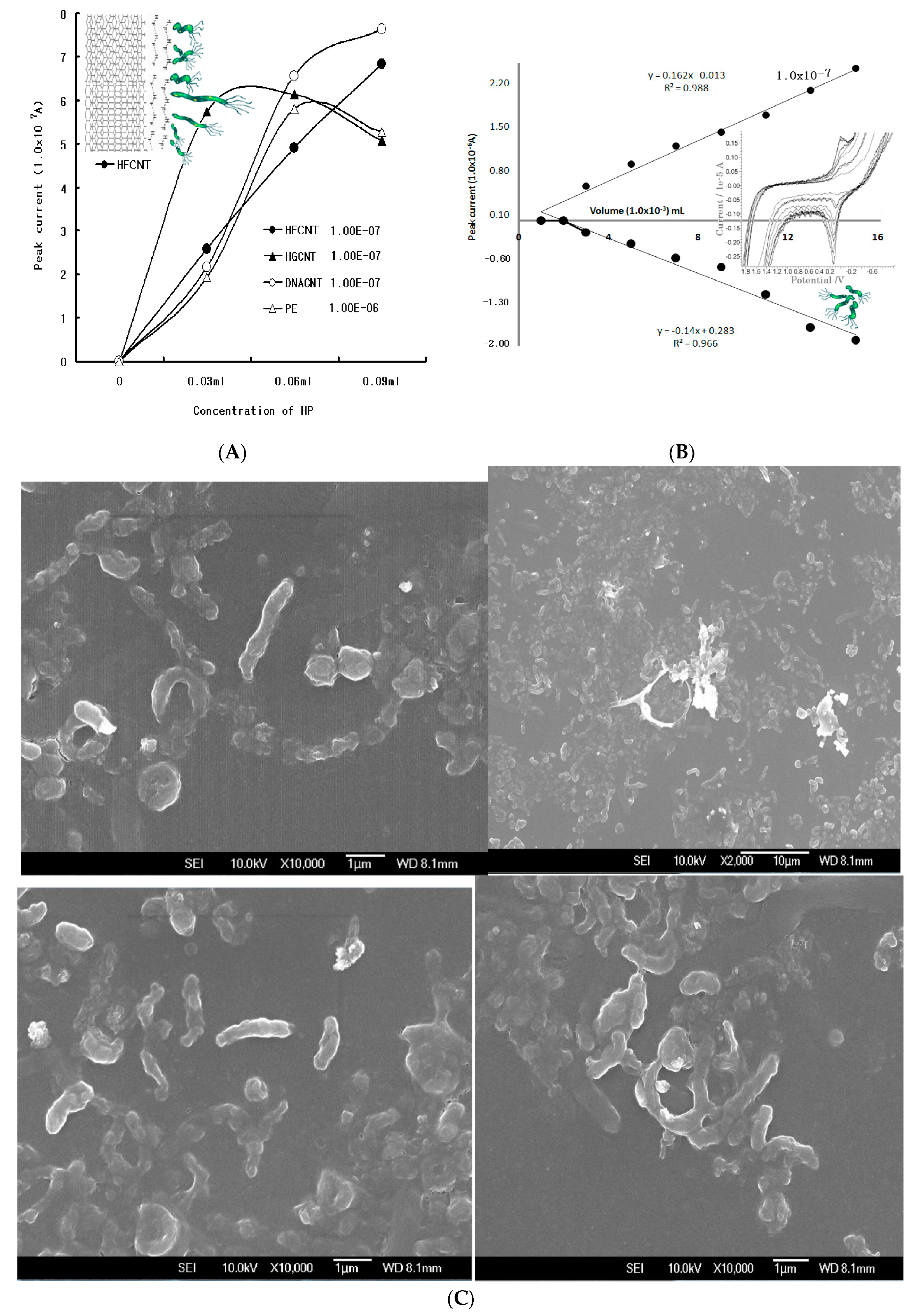 Preprints 120165 g001