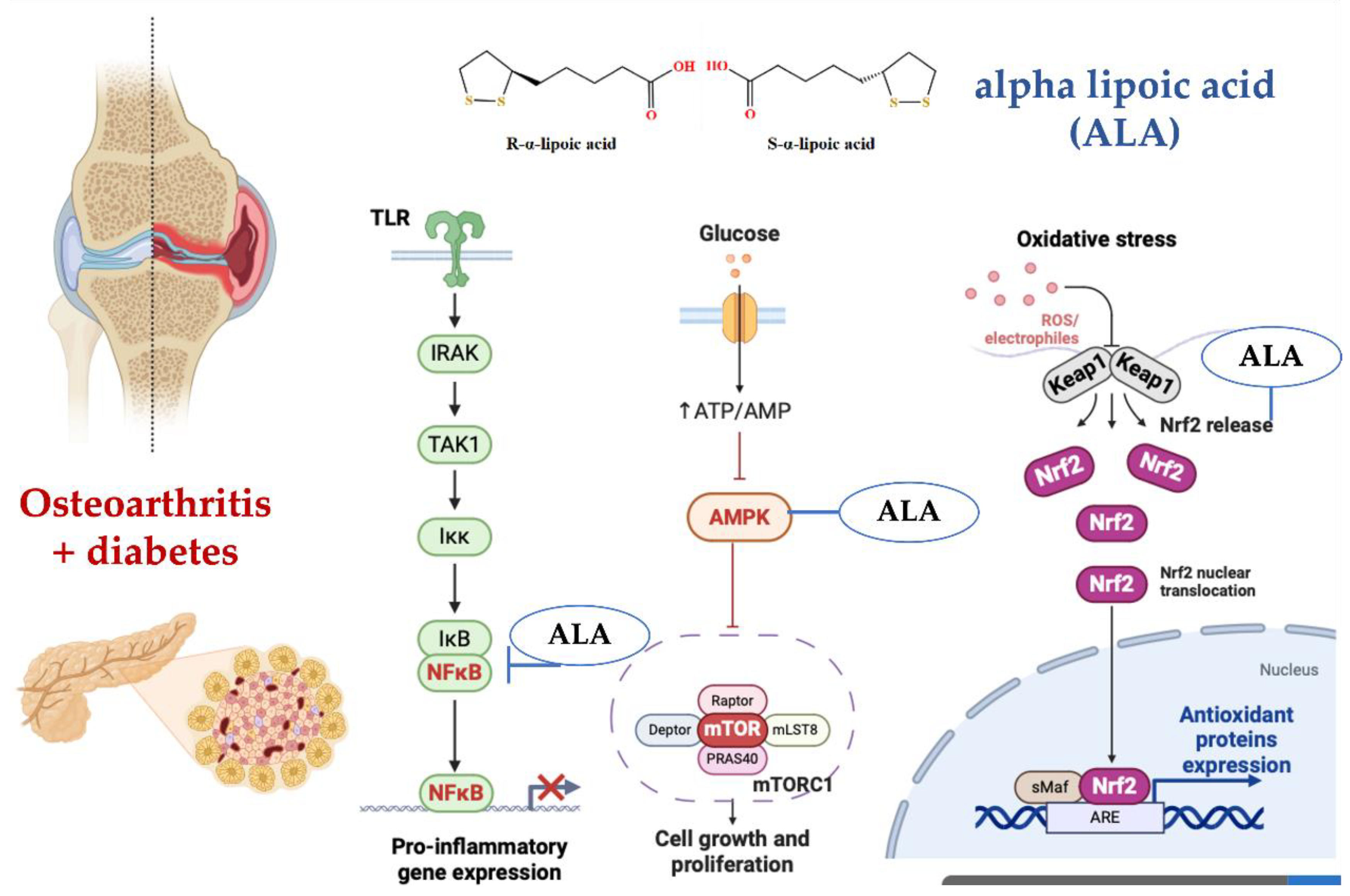 Preprints 116944 g011