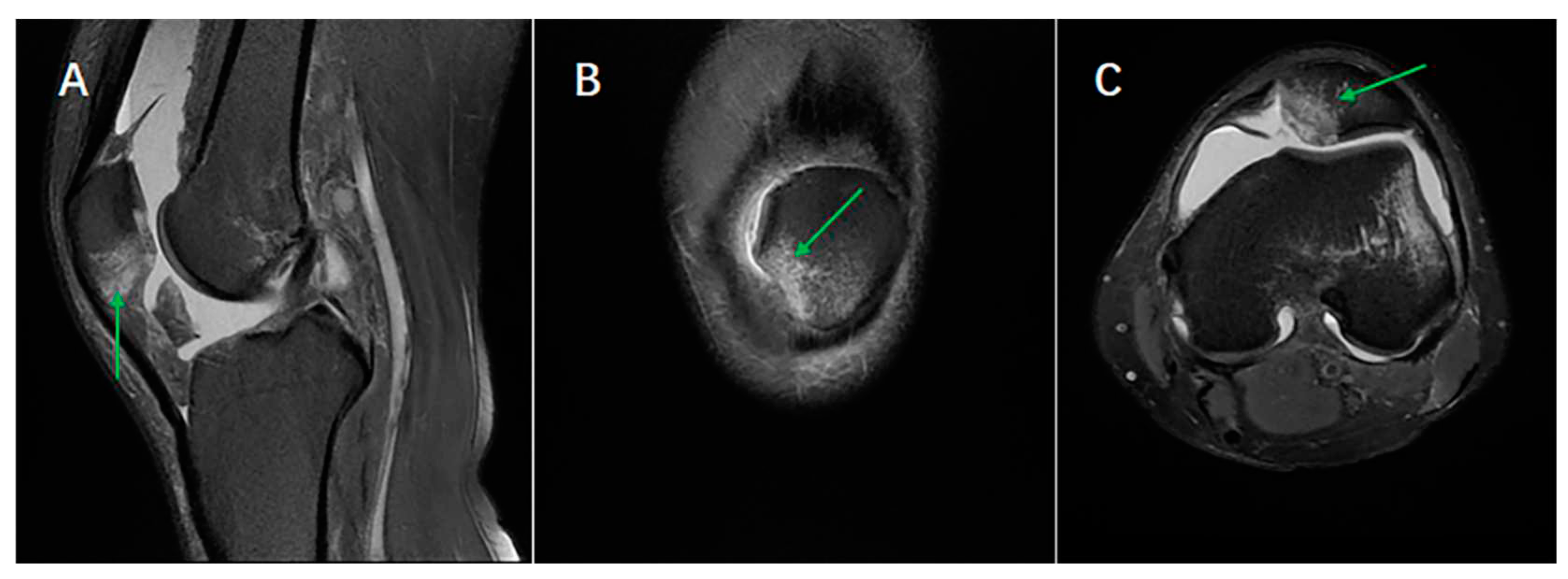 Preprints 85444 g004a