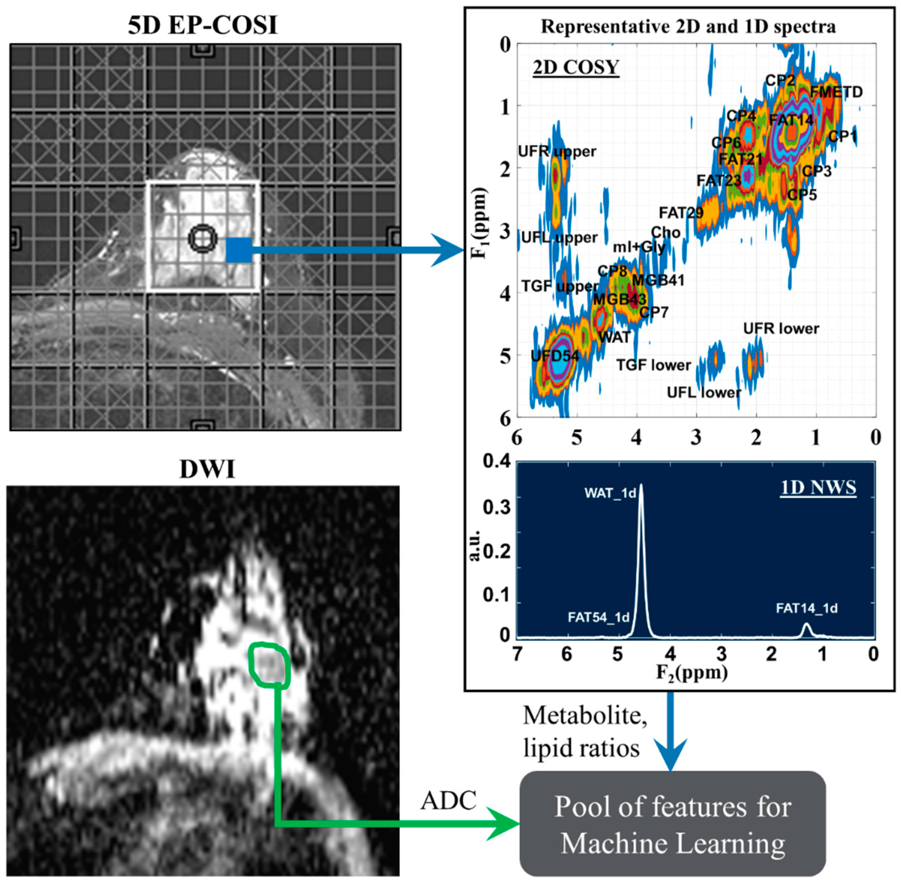 Preprints 72882 g001