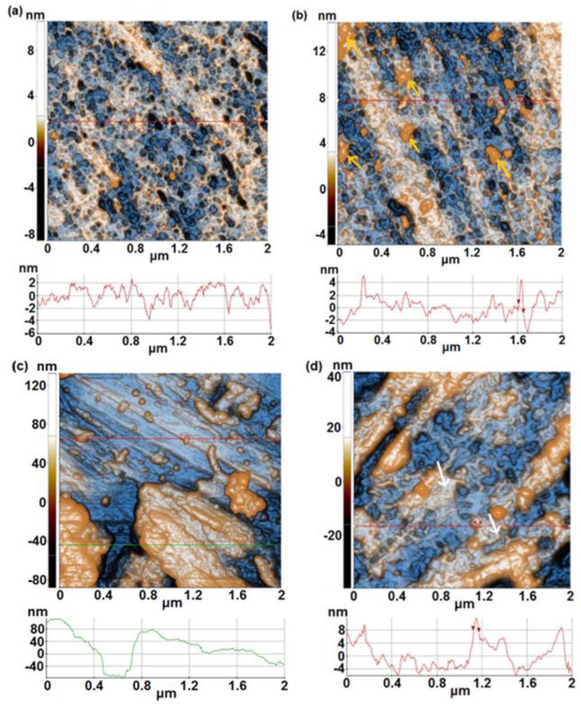 Preprints 118361 g001