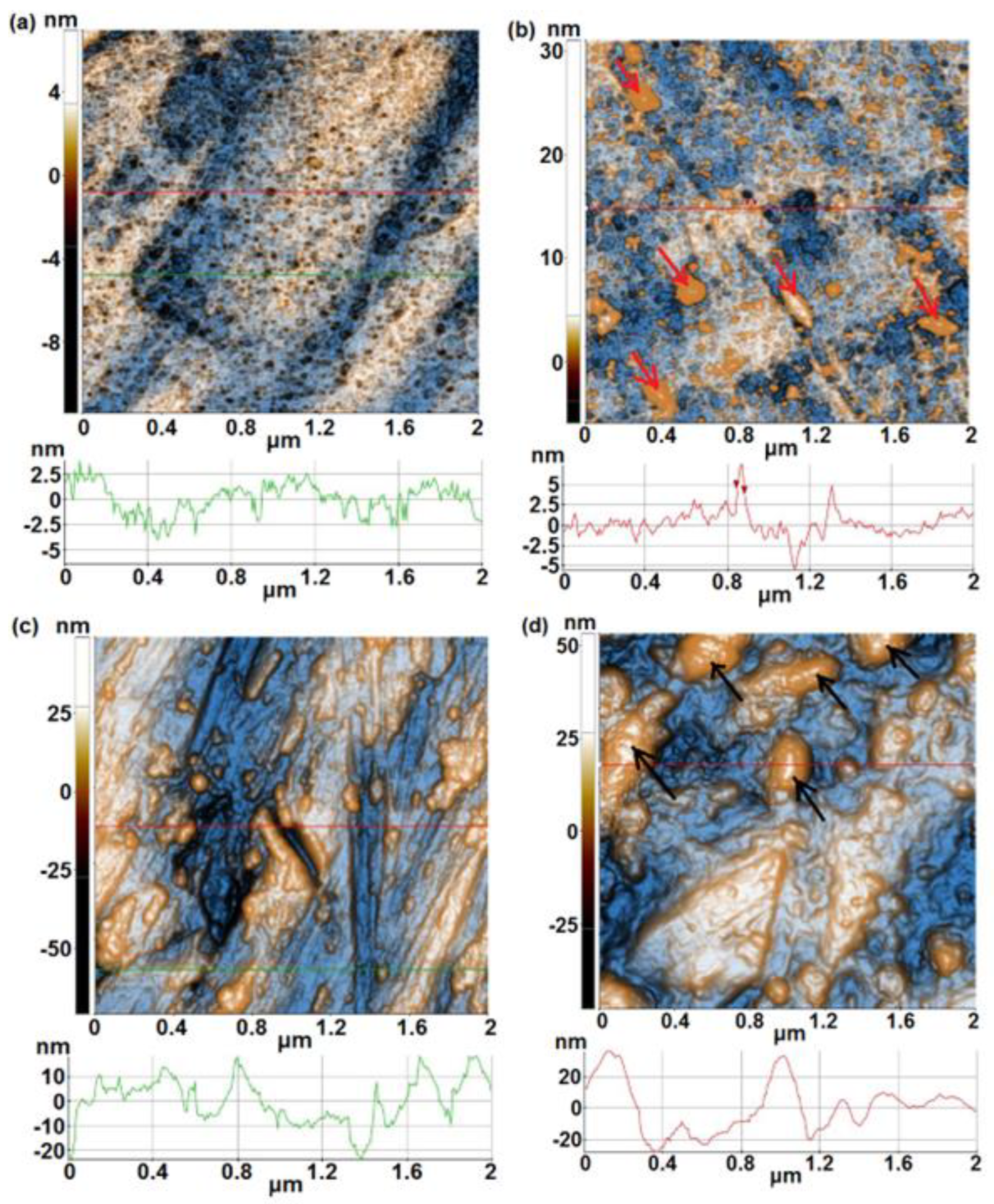 Preprints 118361 g002