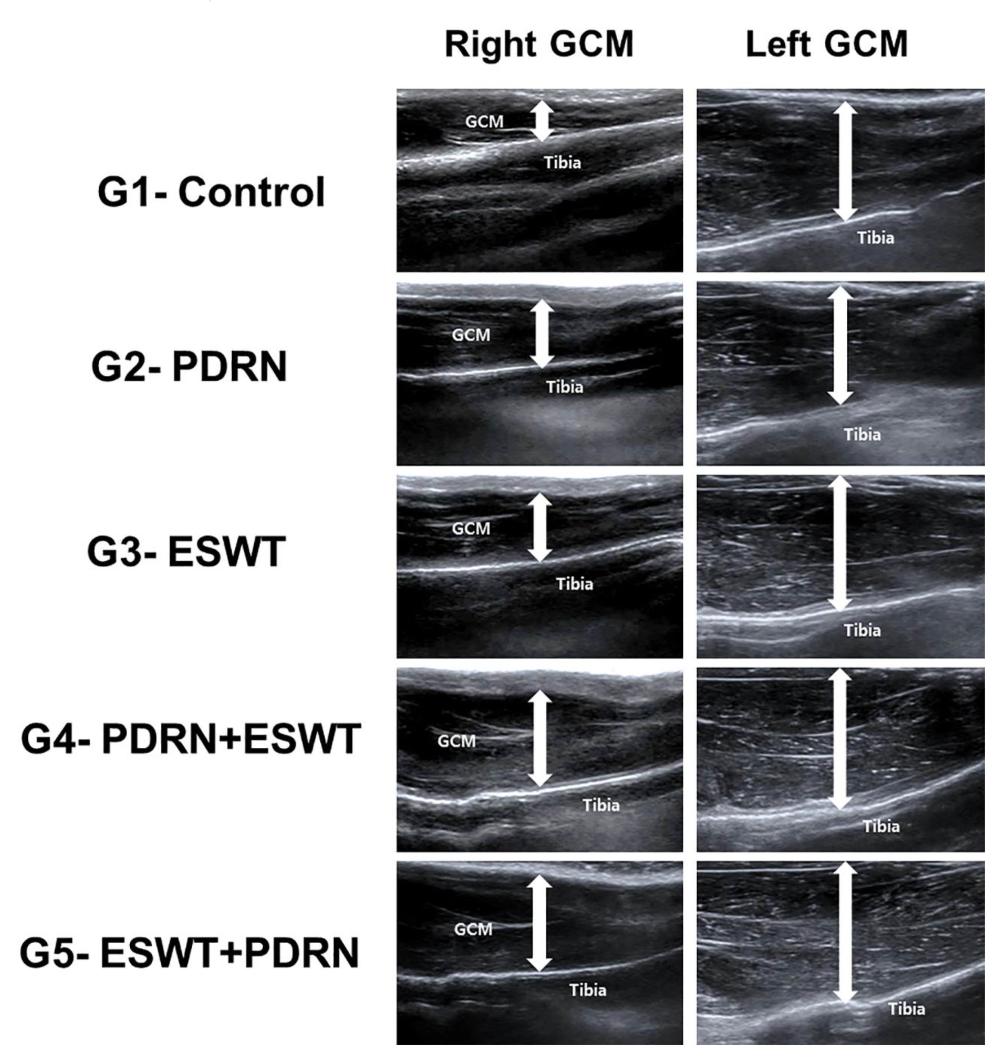 Preprints 80597 g003