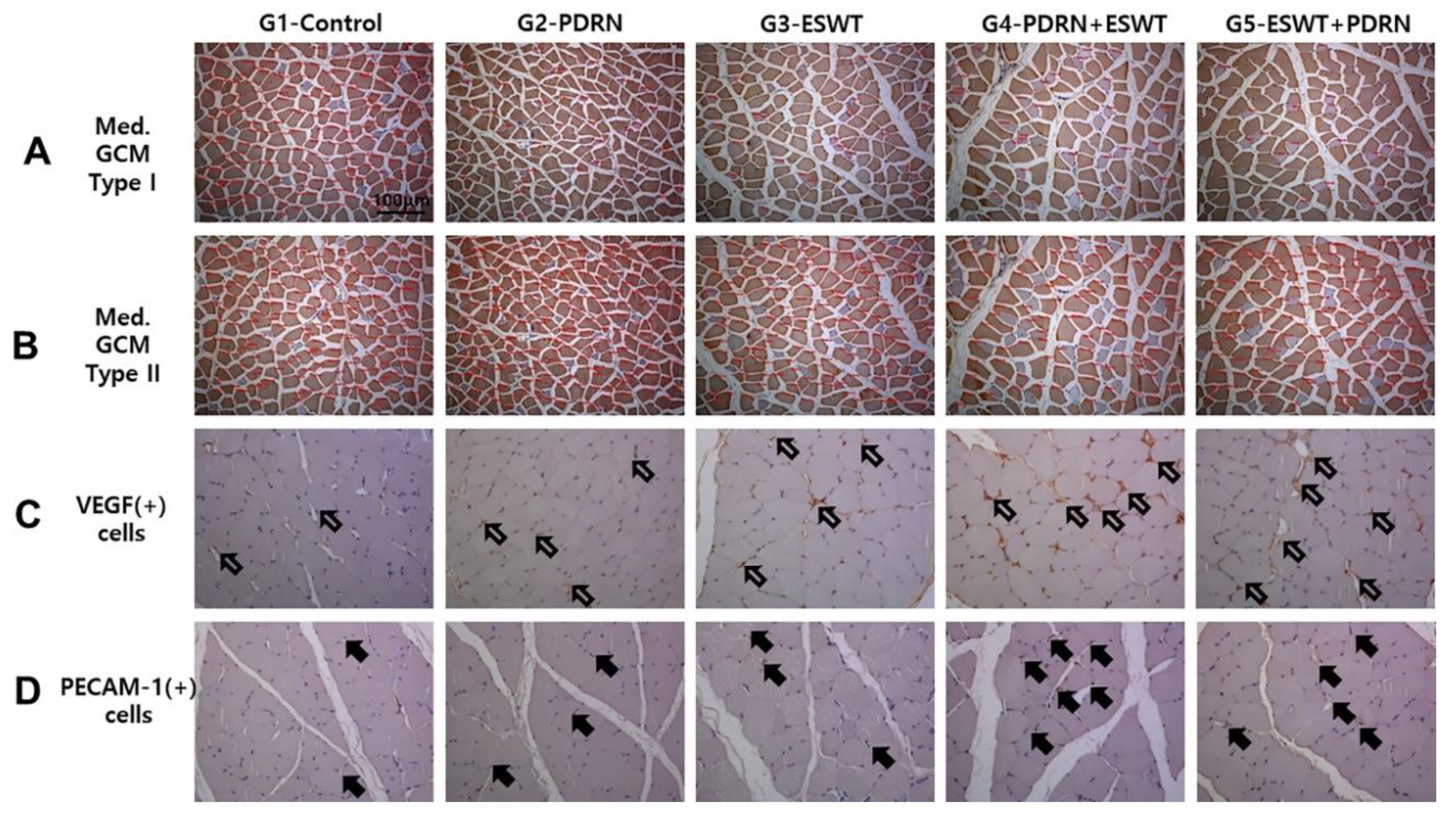 Preprints 80597 g004