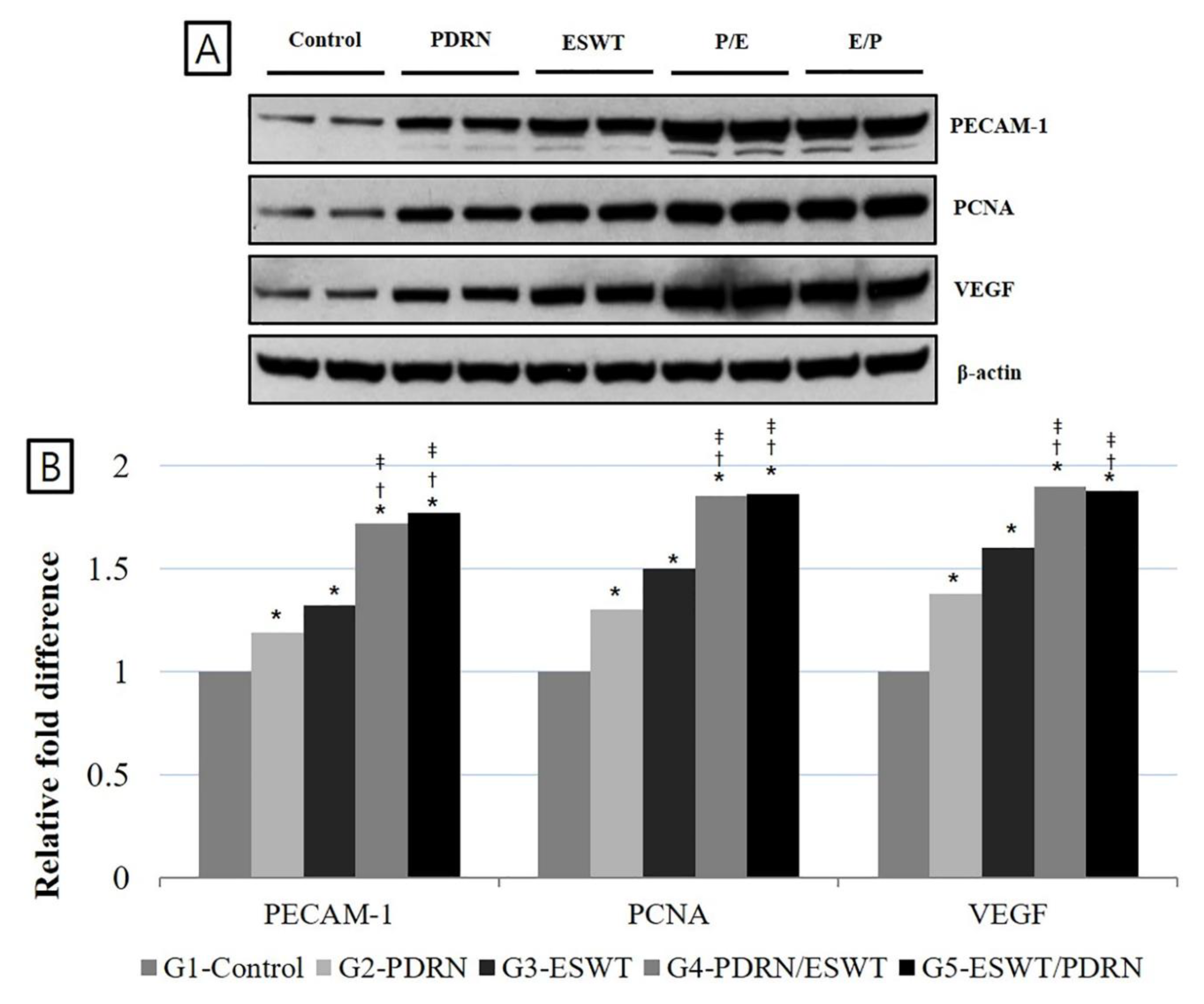 Preprints 80597 g005