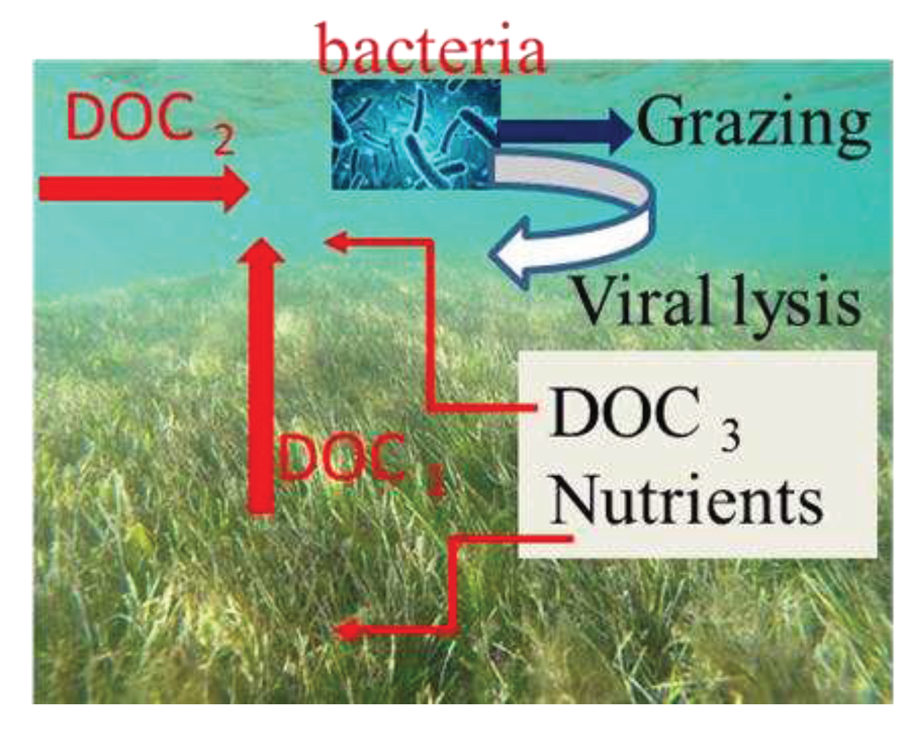 Preprints 83826 g004