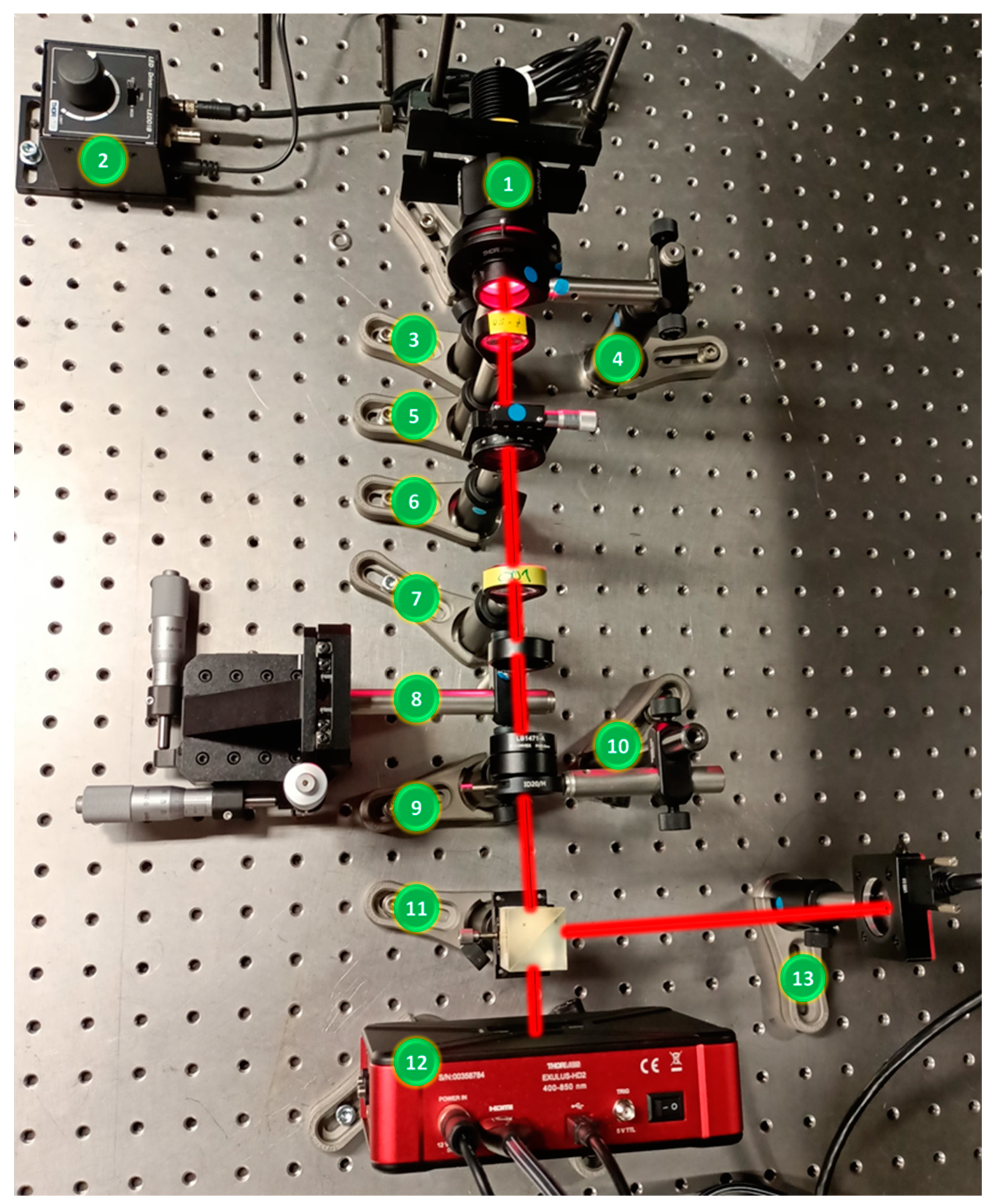 Preprints 81356 g005