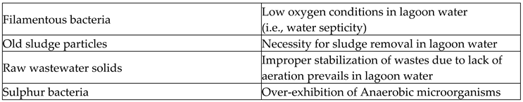 Preprints 69417 i004b