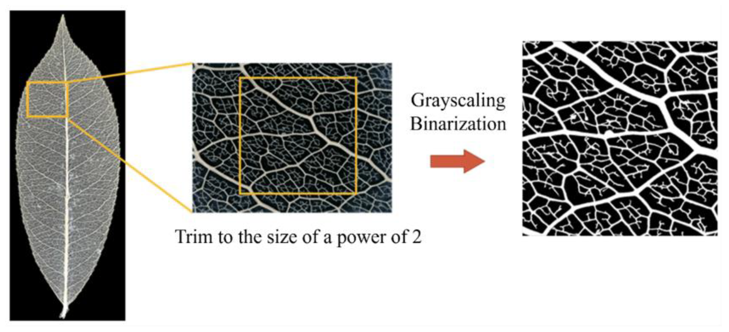 Preprints 120329 g004