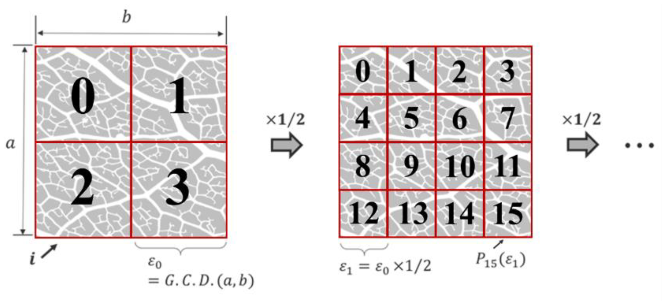 Preprints 120329 g005