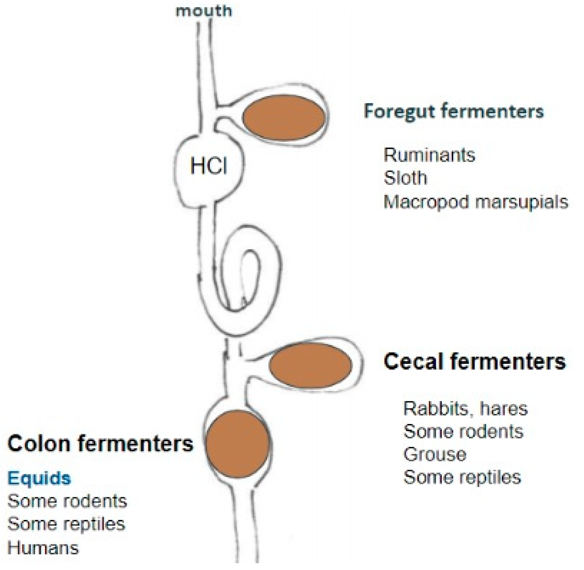 Preprints 83333 g001