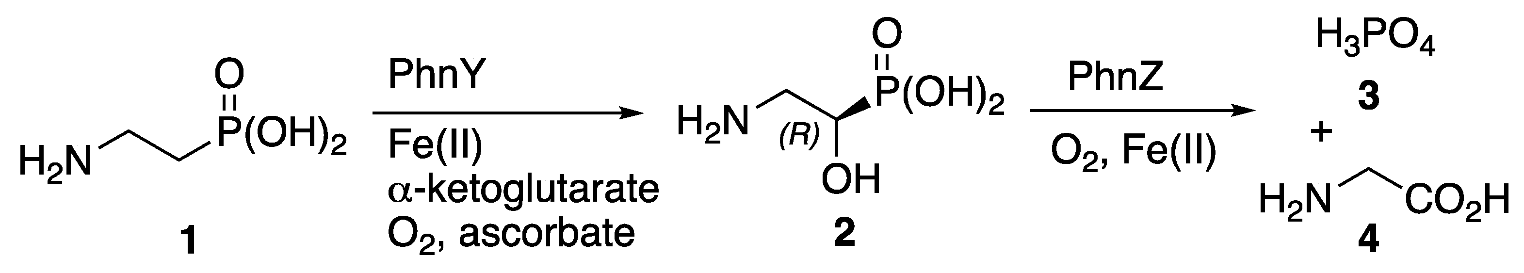 Preprints 117607 sch001