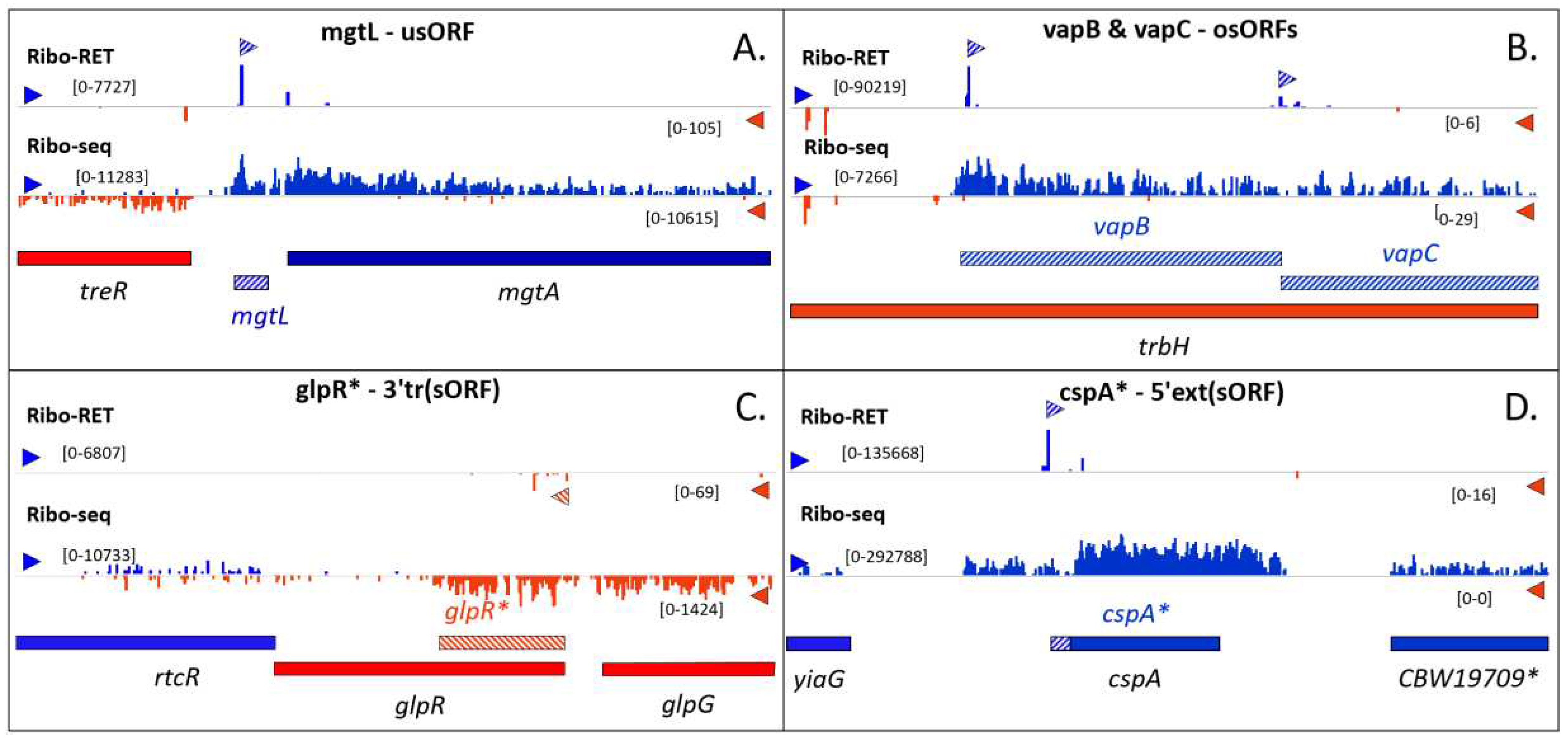 Preprints 68963 g002