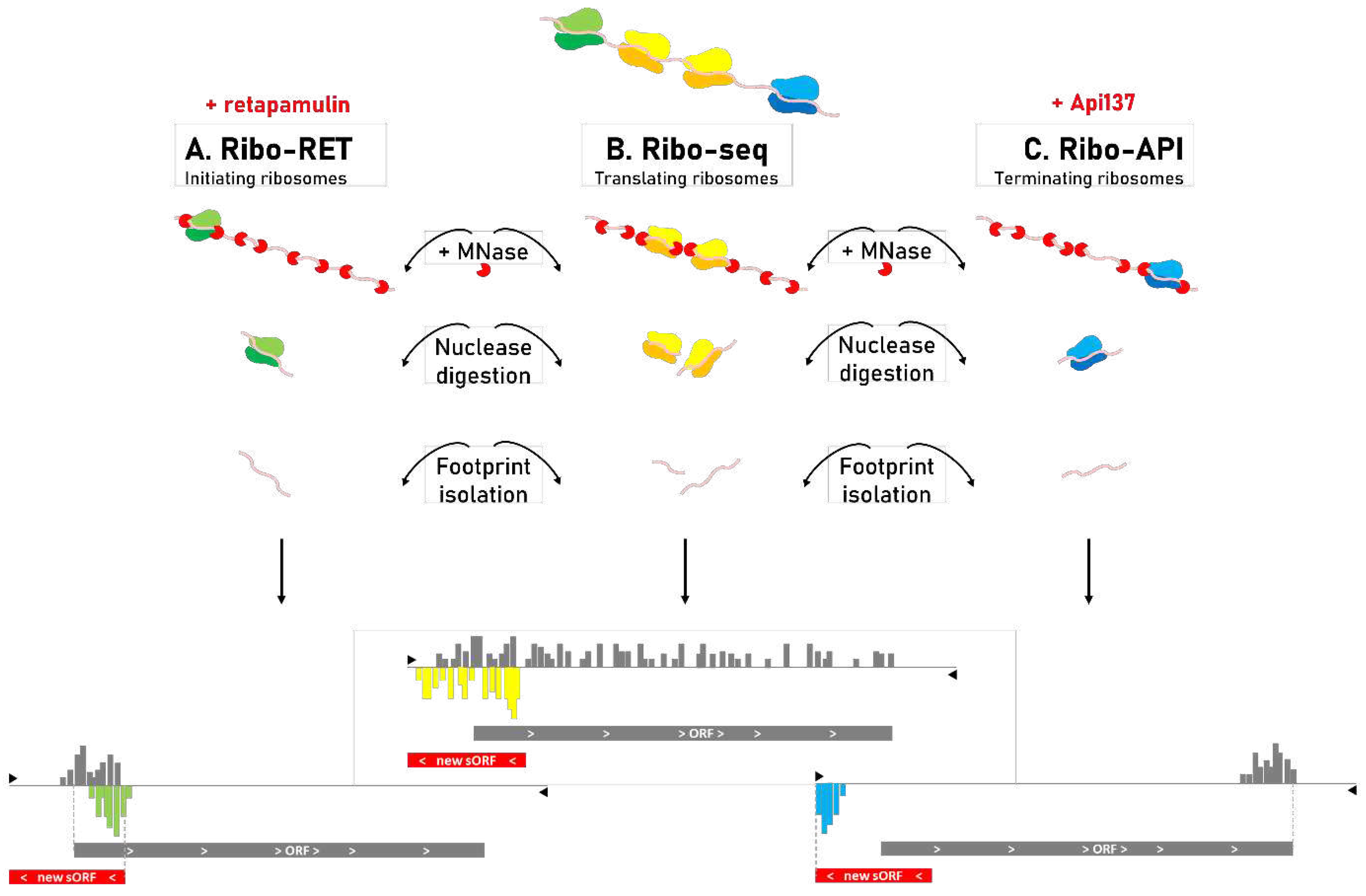 Preprints 68963 g003