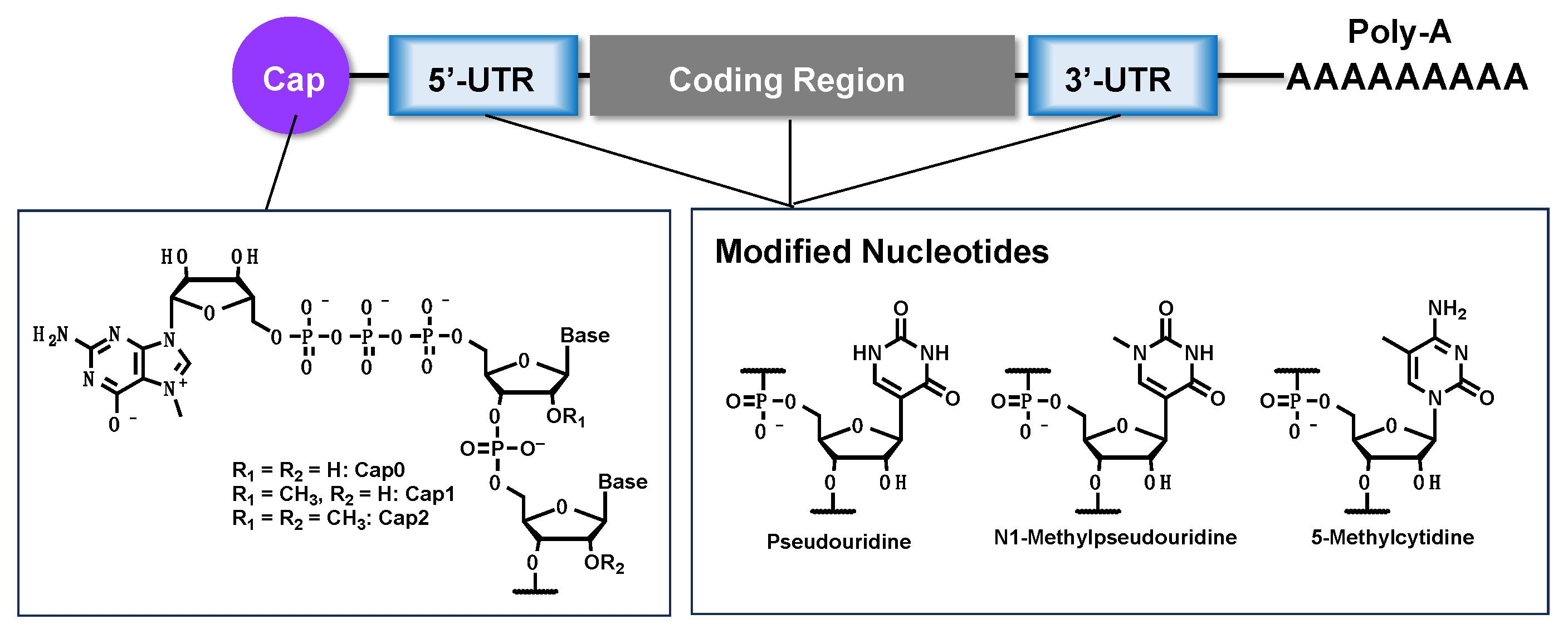 Preprints 89585 g001