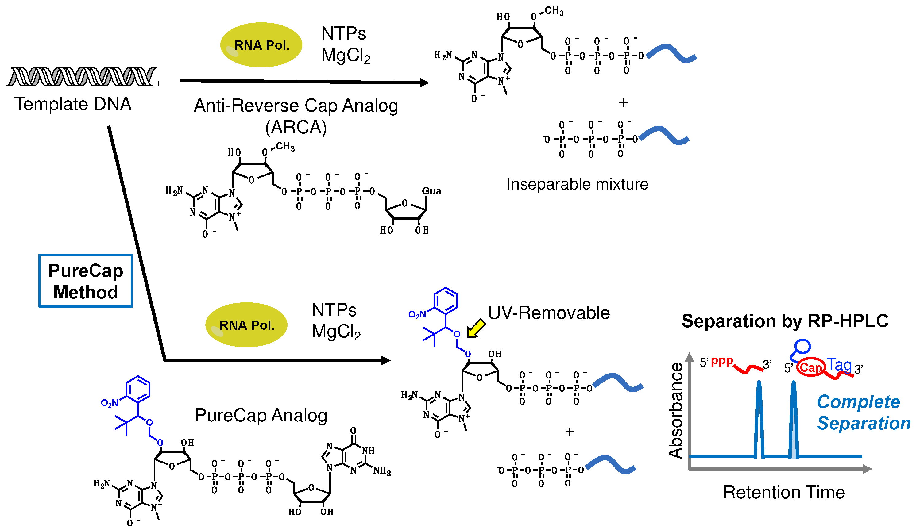 Preprints 89585 g002