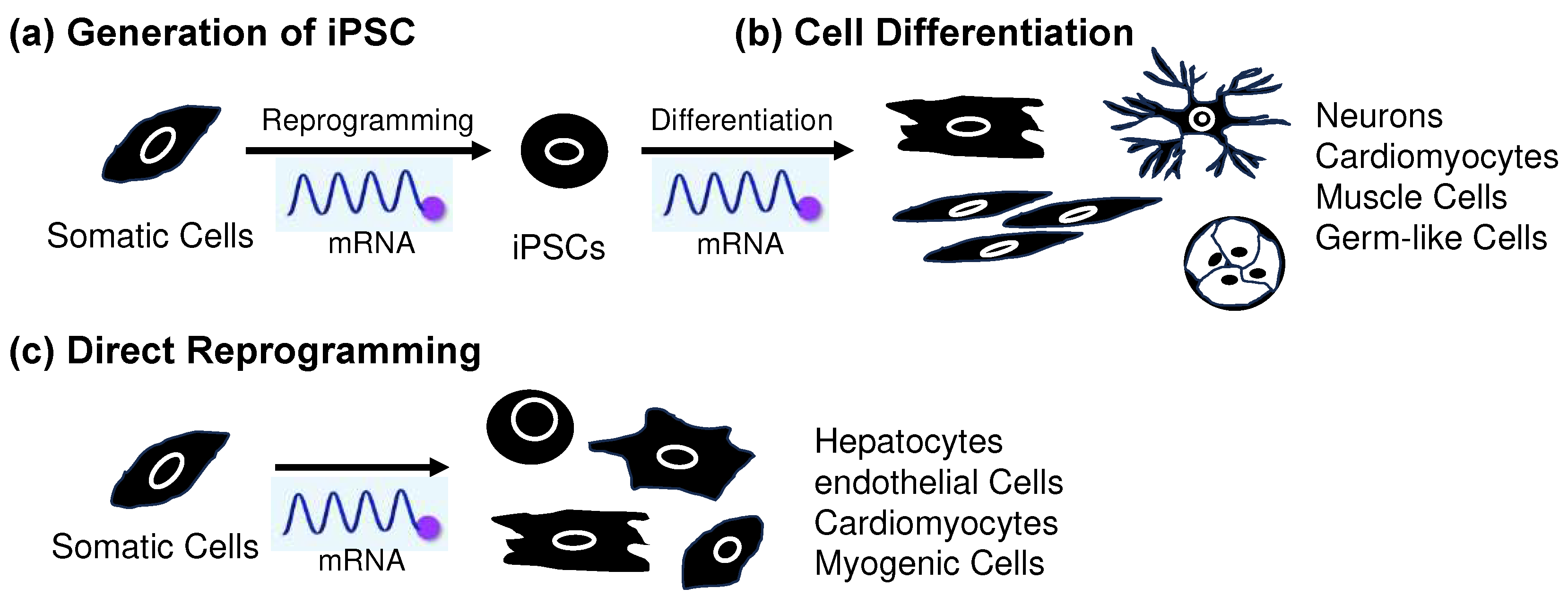 Preprints 89585 g004