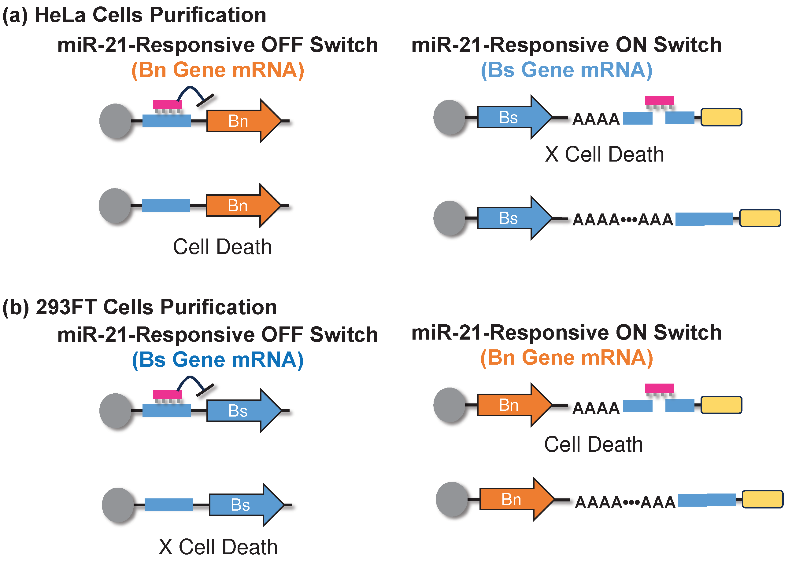 Preprints 89585 g005