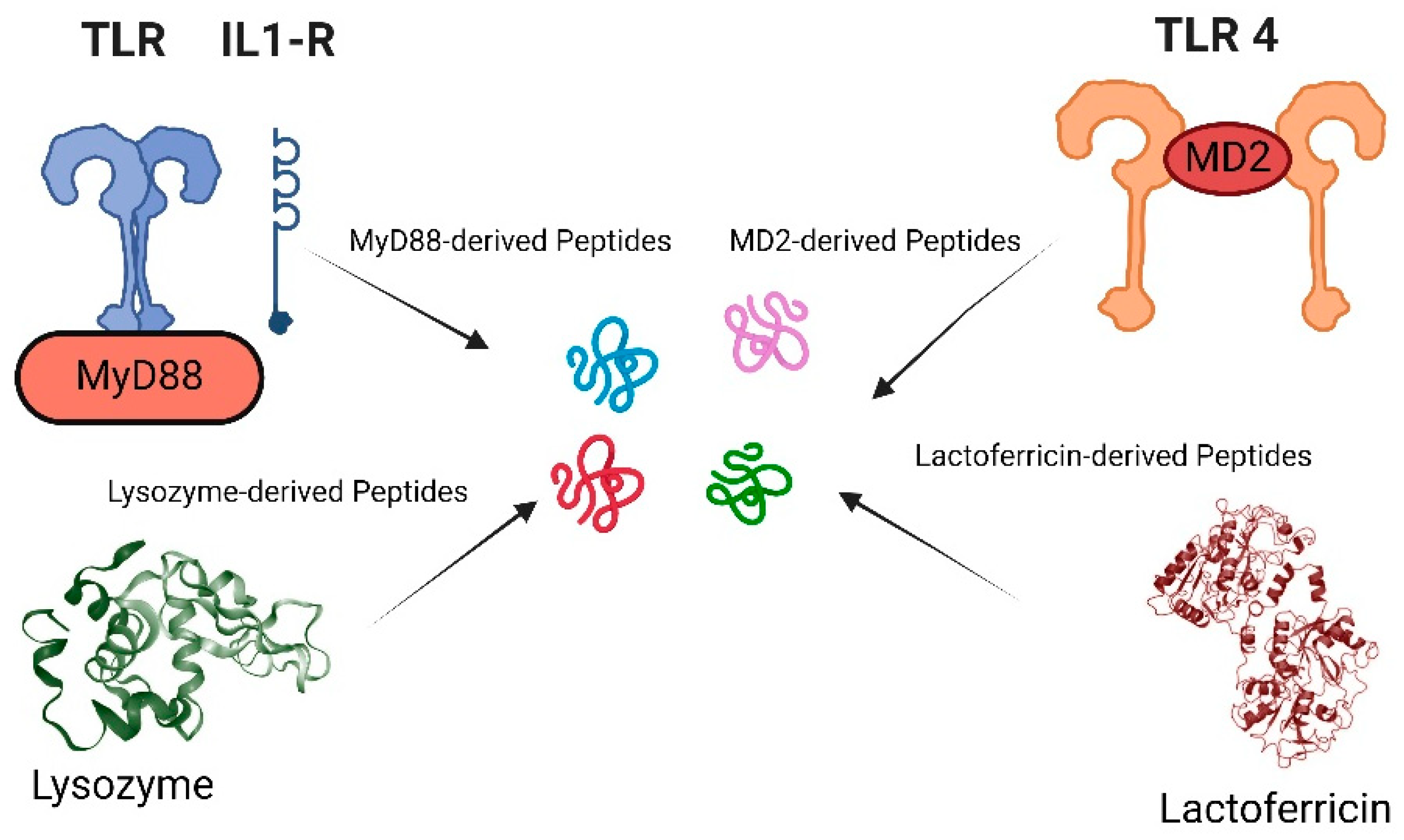 Preprints 117571 g002