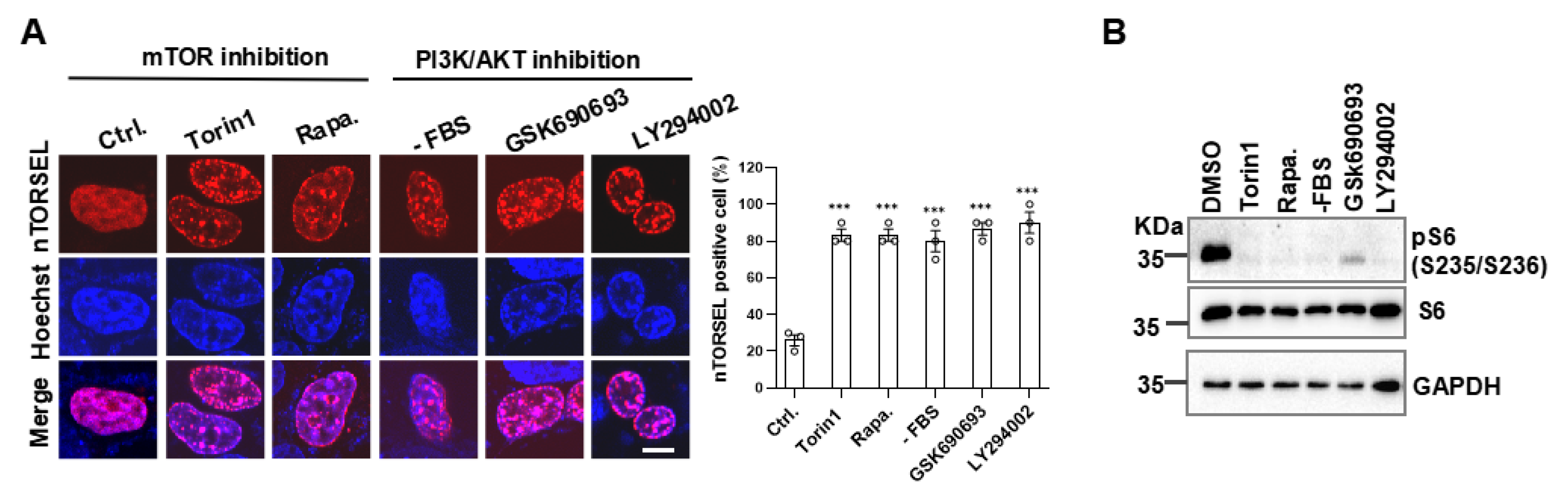 Preprints 121874 g003