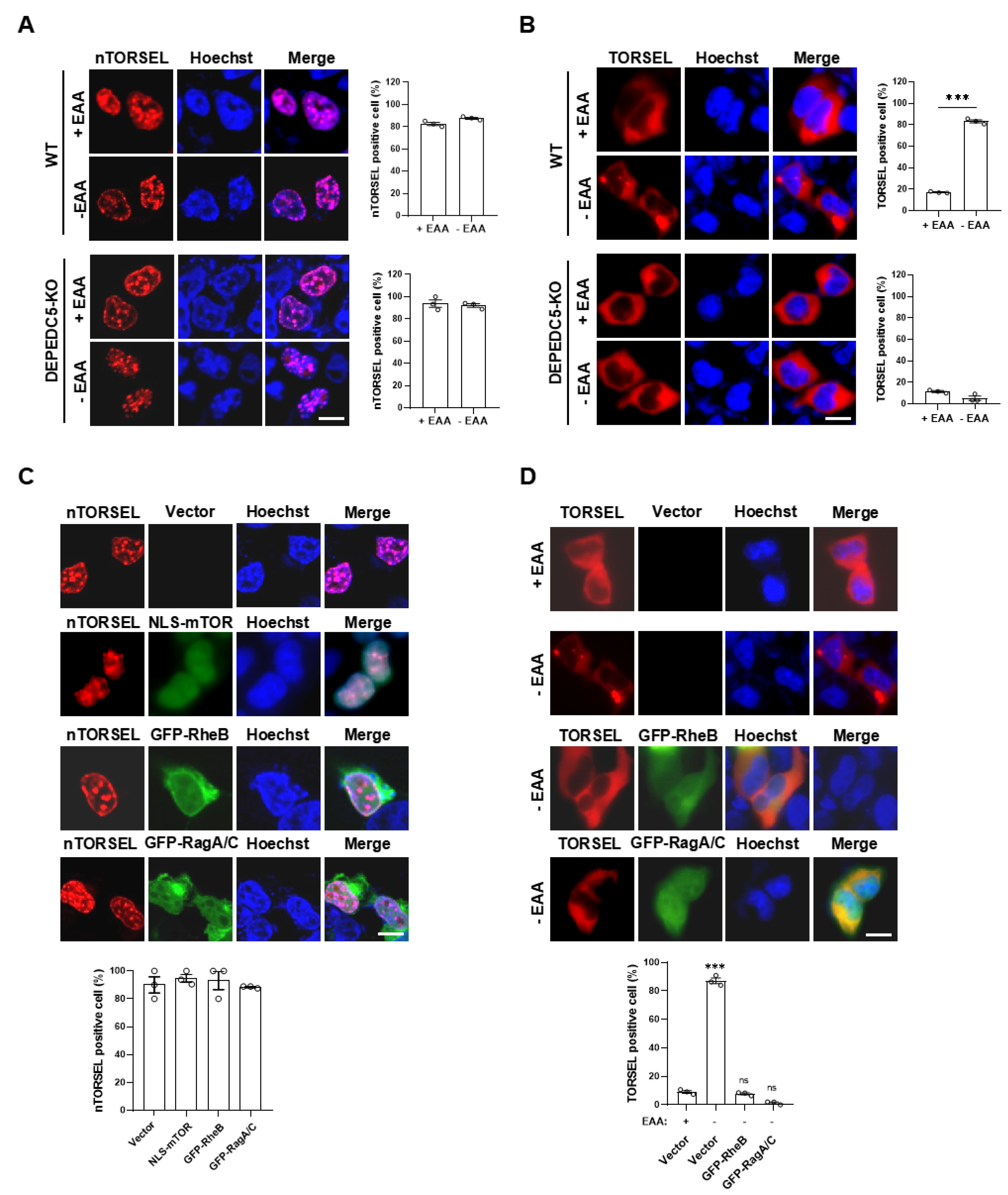 Preprints 121874 g004