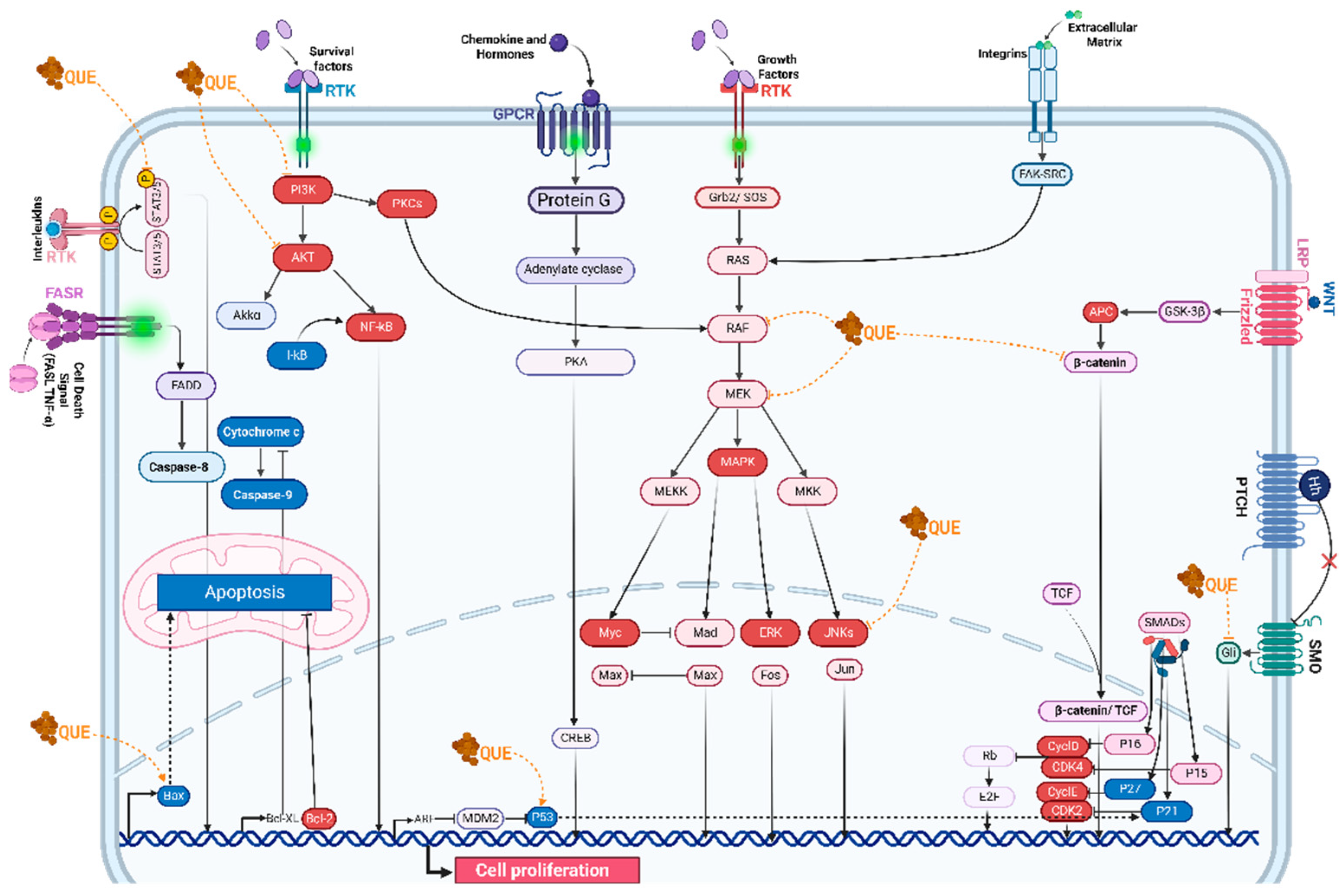 Preprints 97884 g004