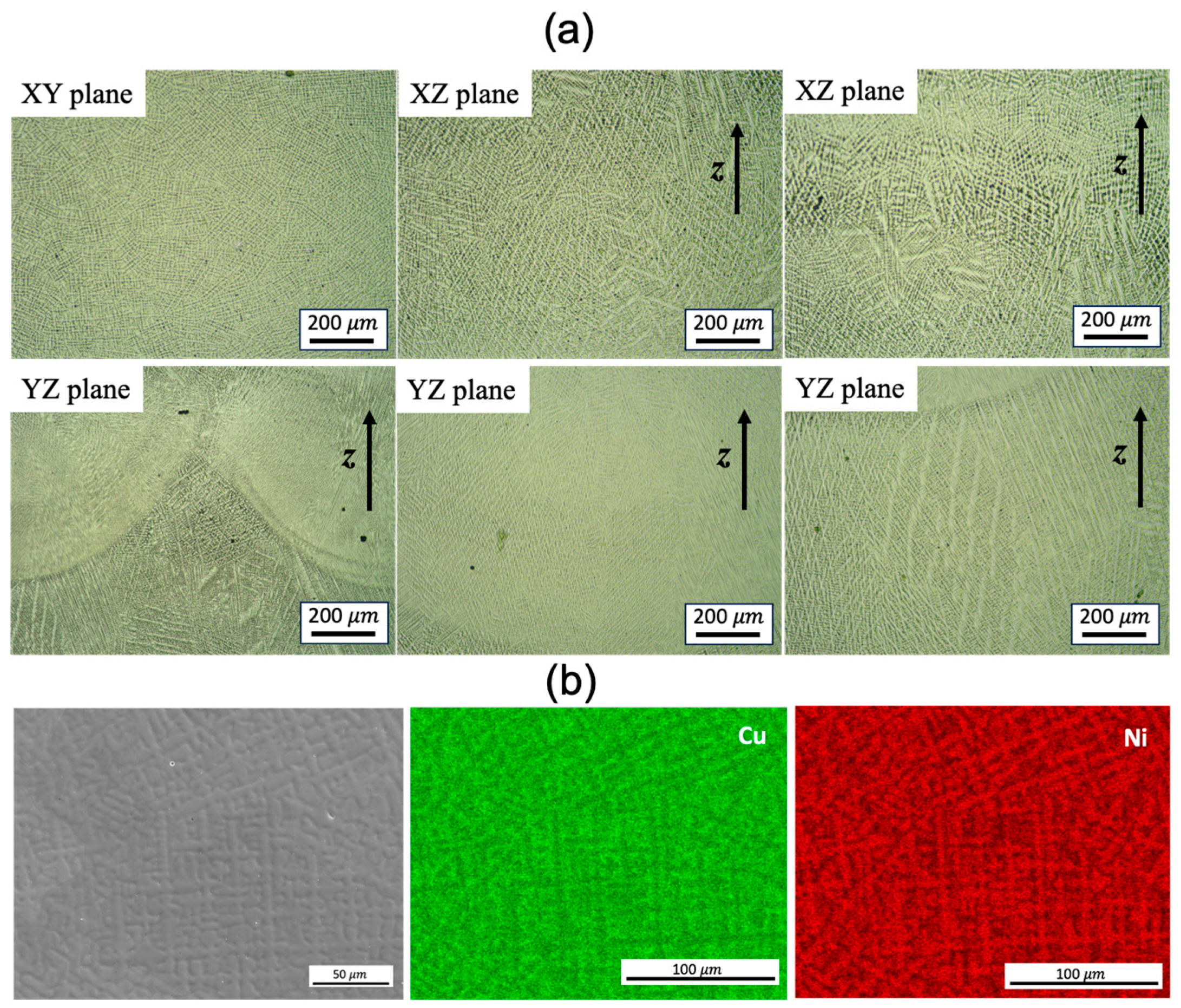 Preprints 95830 g002