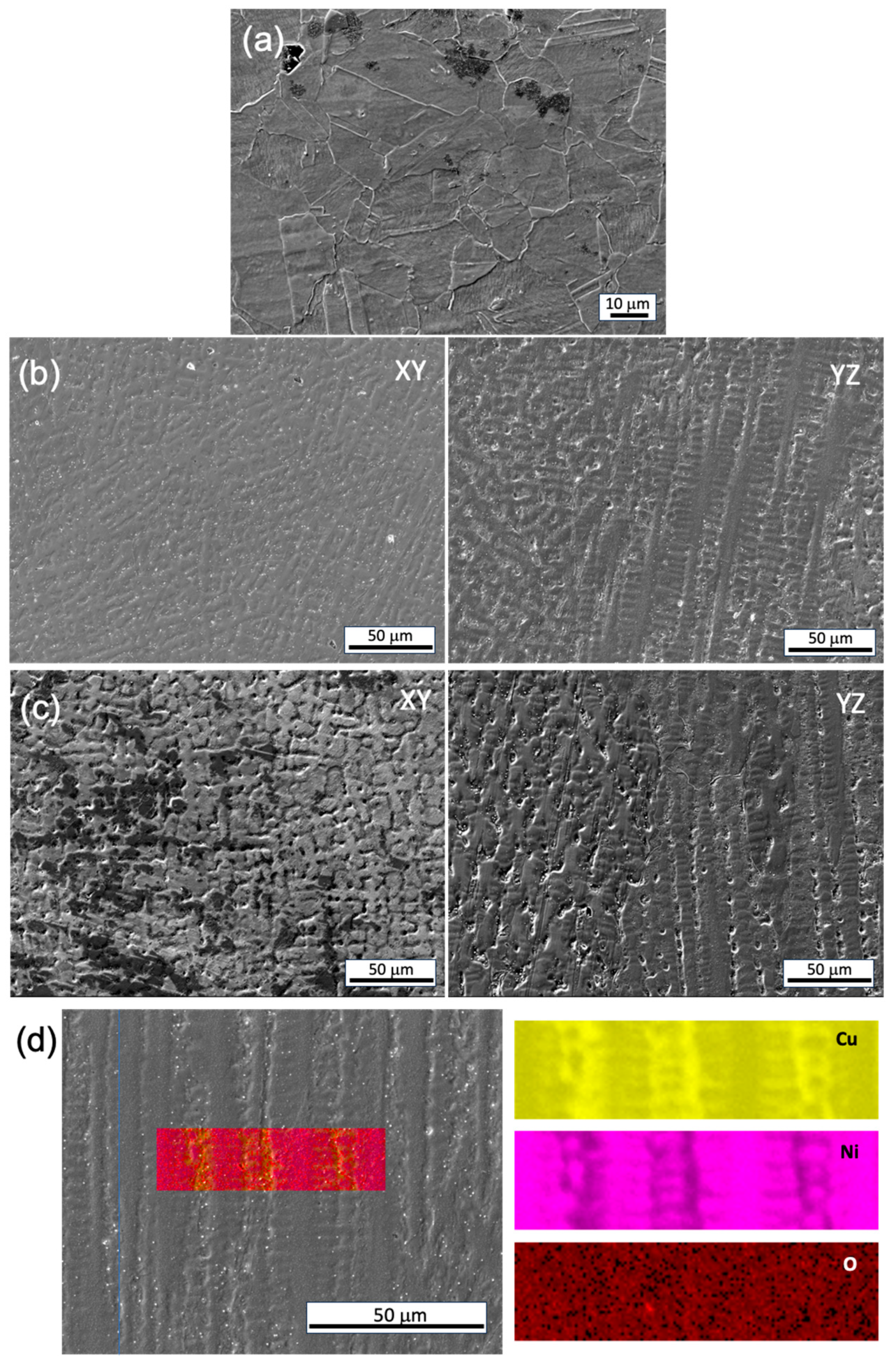 Preprints 95830 g012