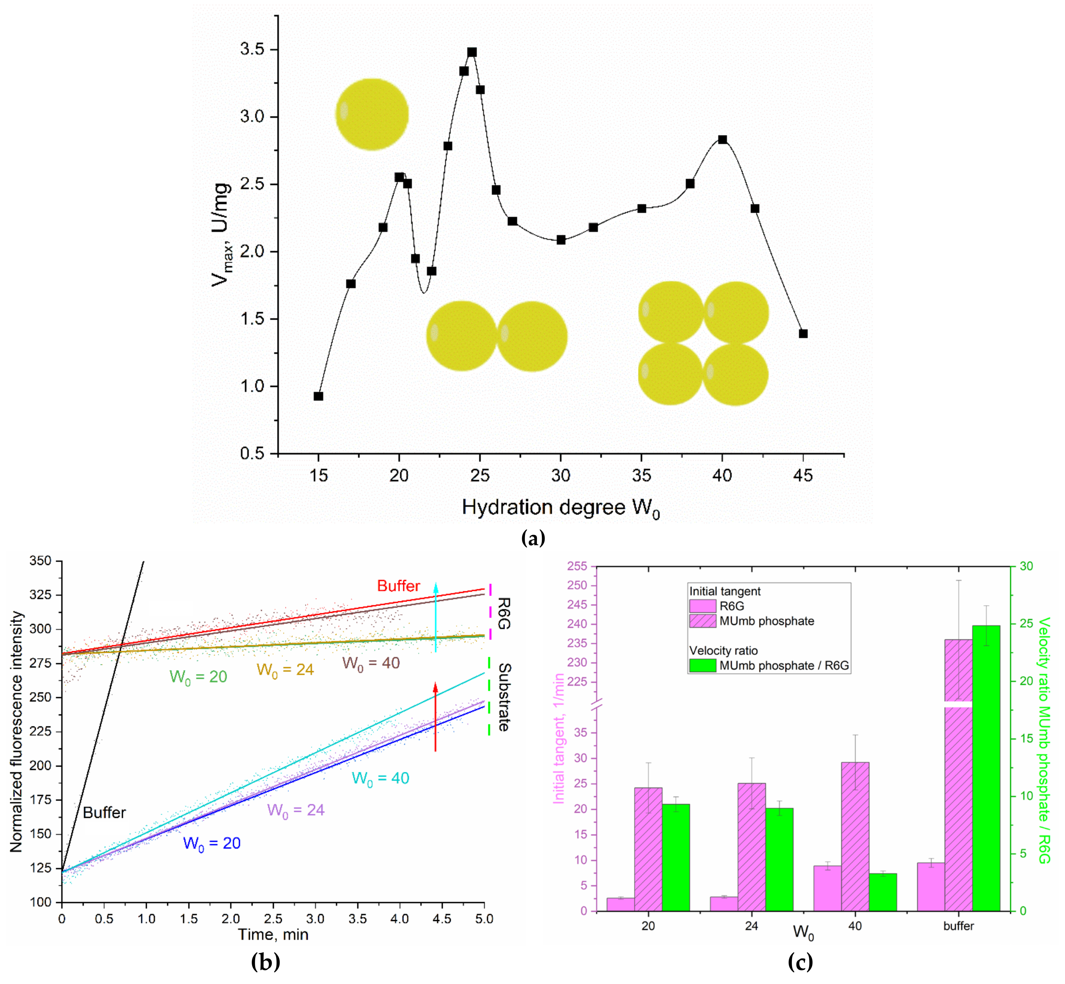 Preprints 107902 g003