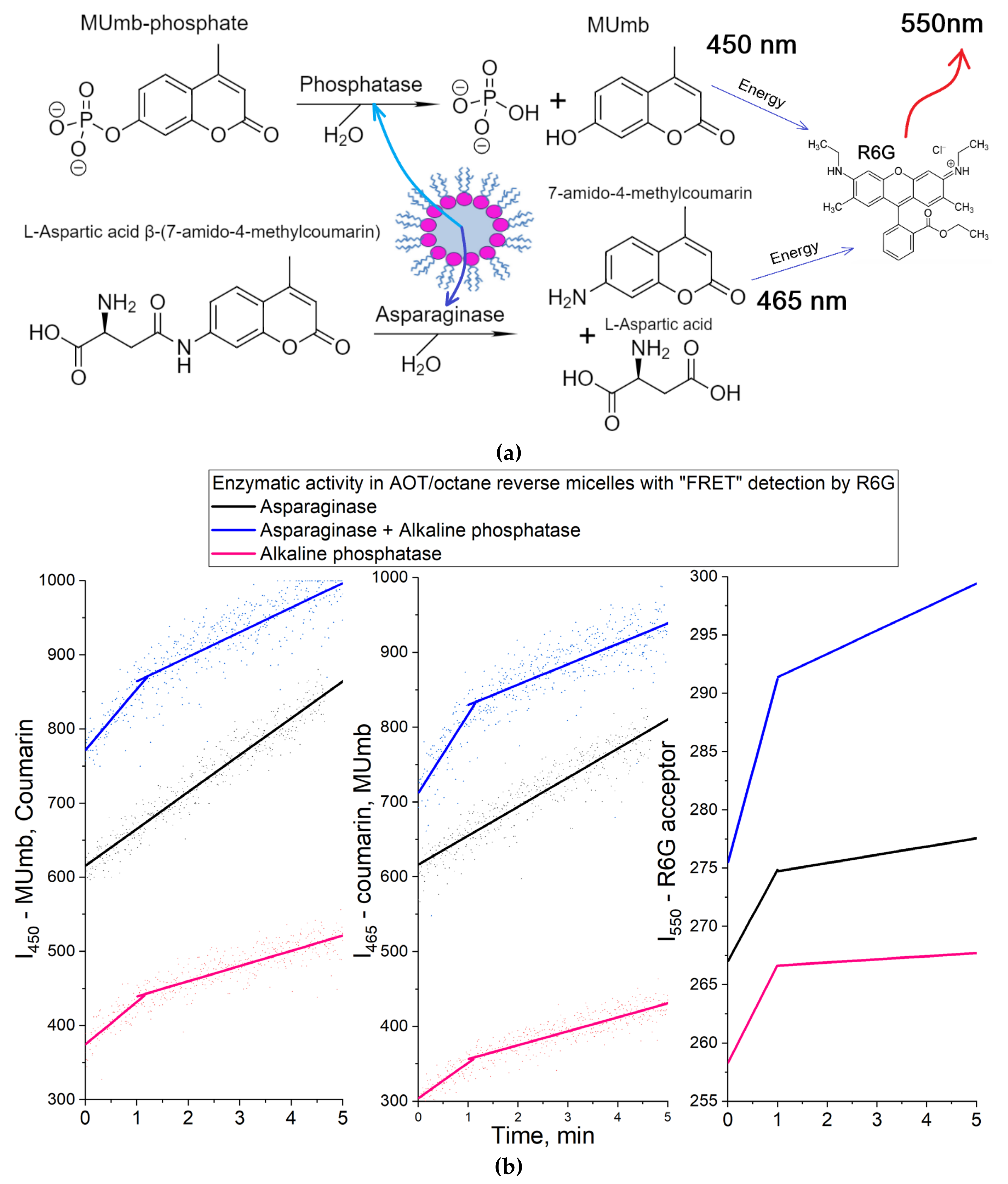 Preprints 107902 g004