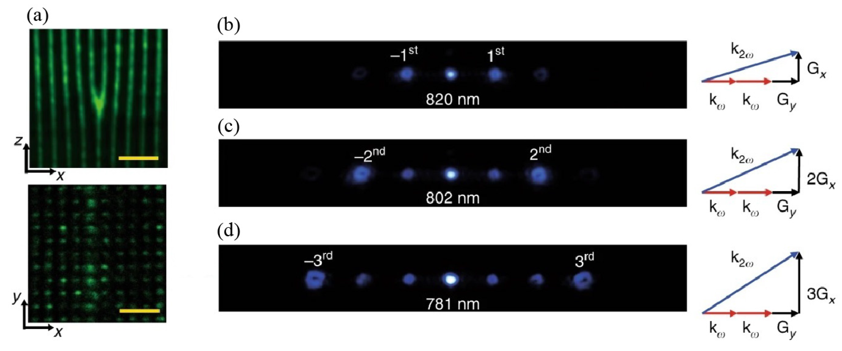 Preprints 74978 g005