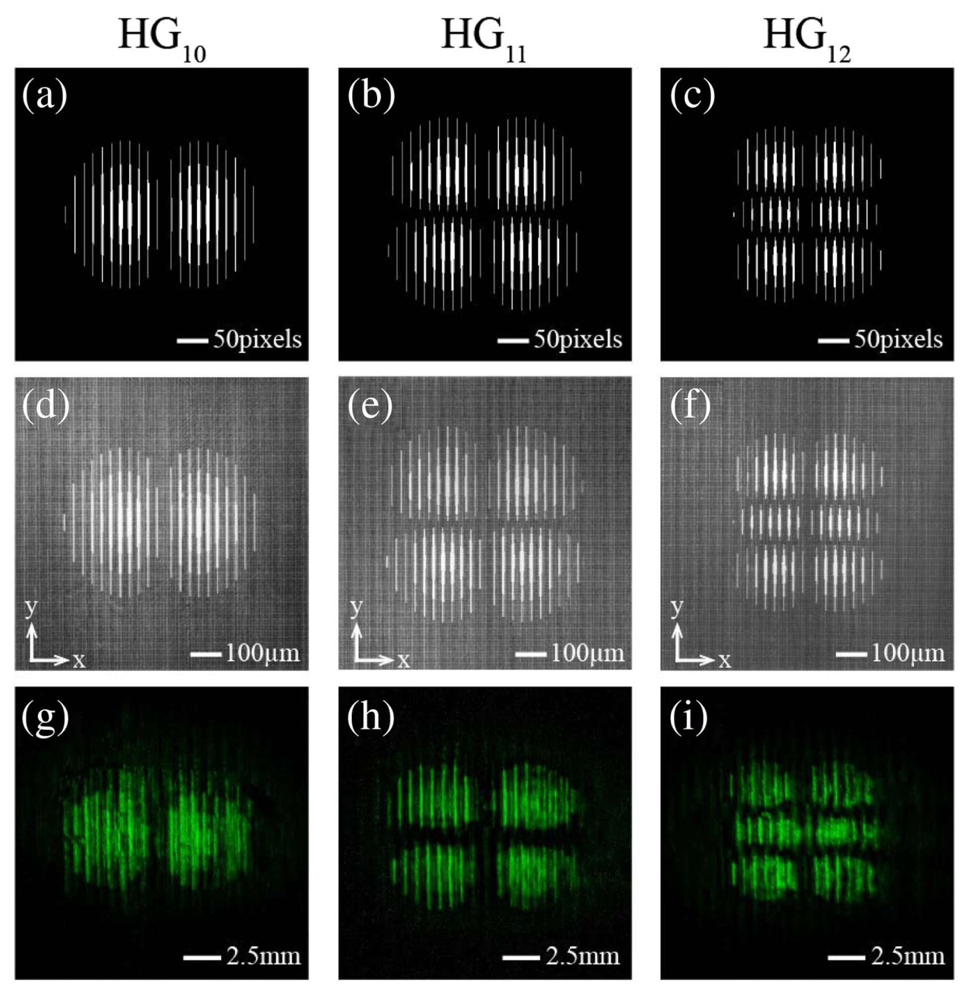 Preprints 74978 g006