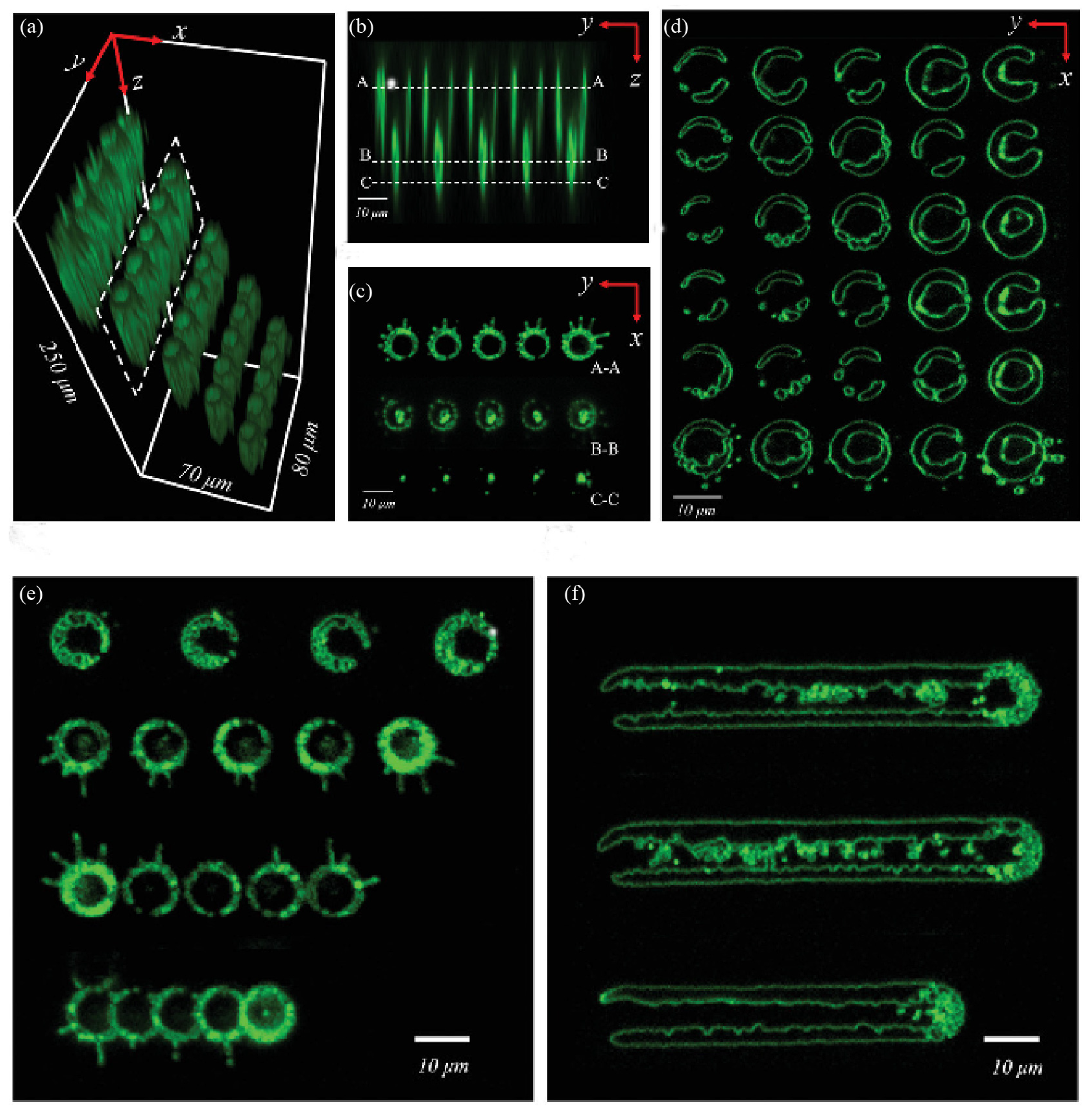 Preprints 74978 g012