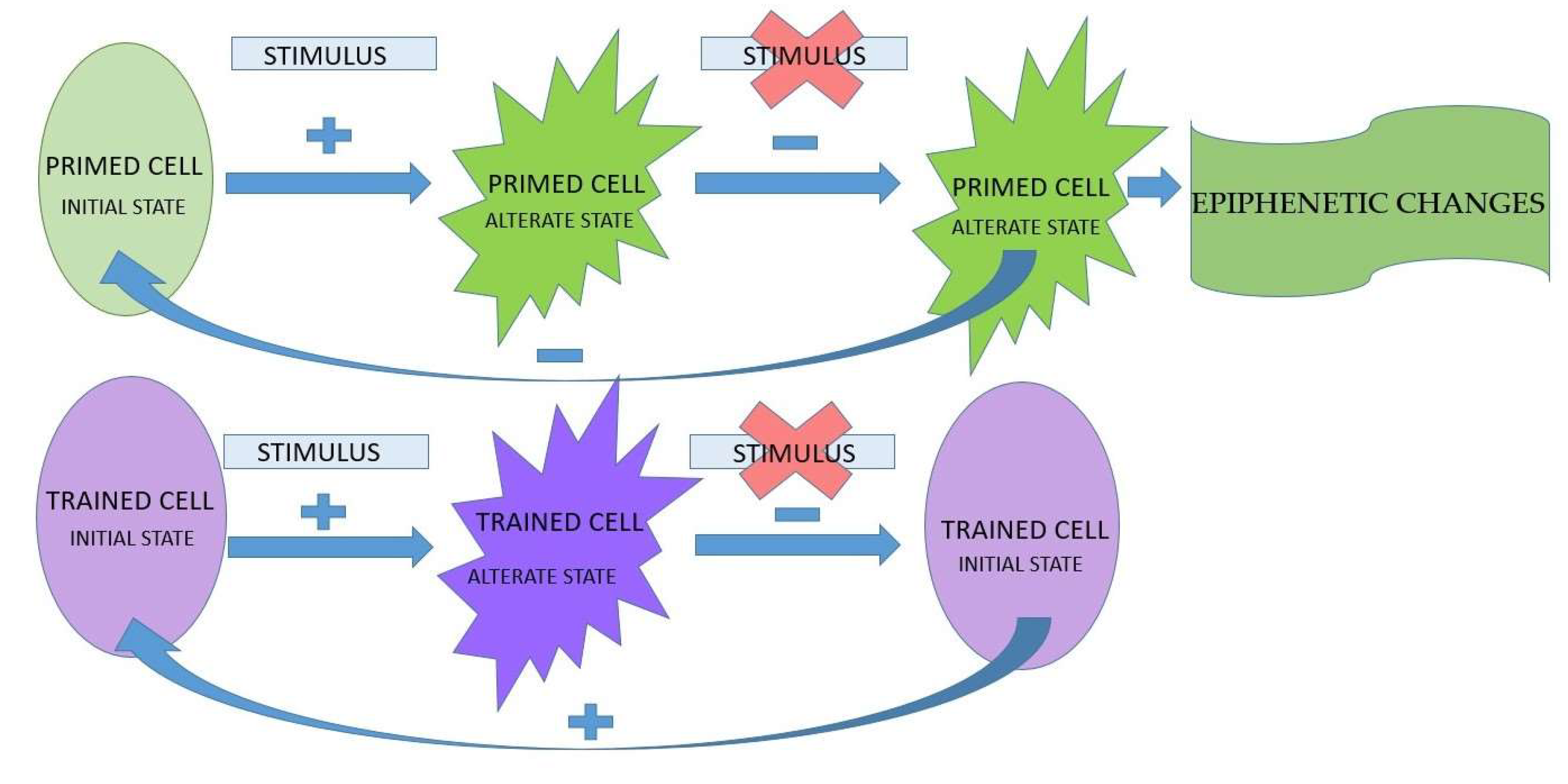 Preprints 95199 g002