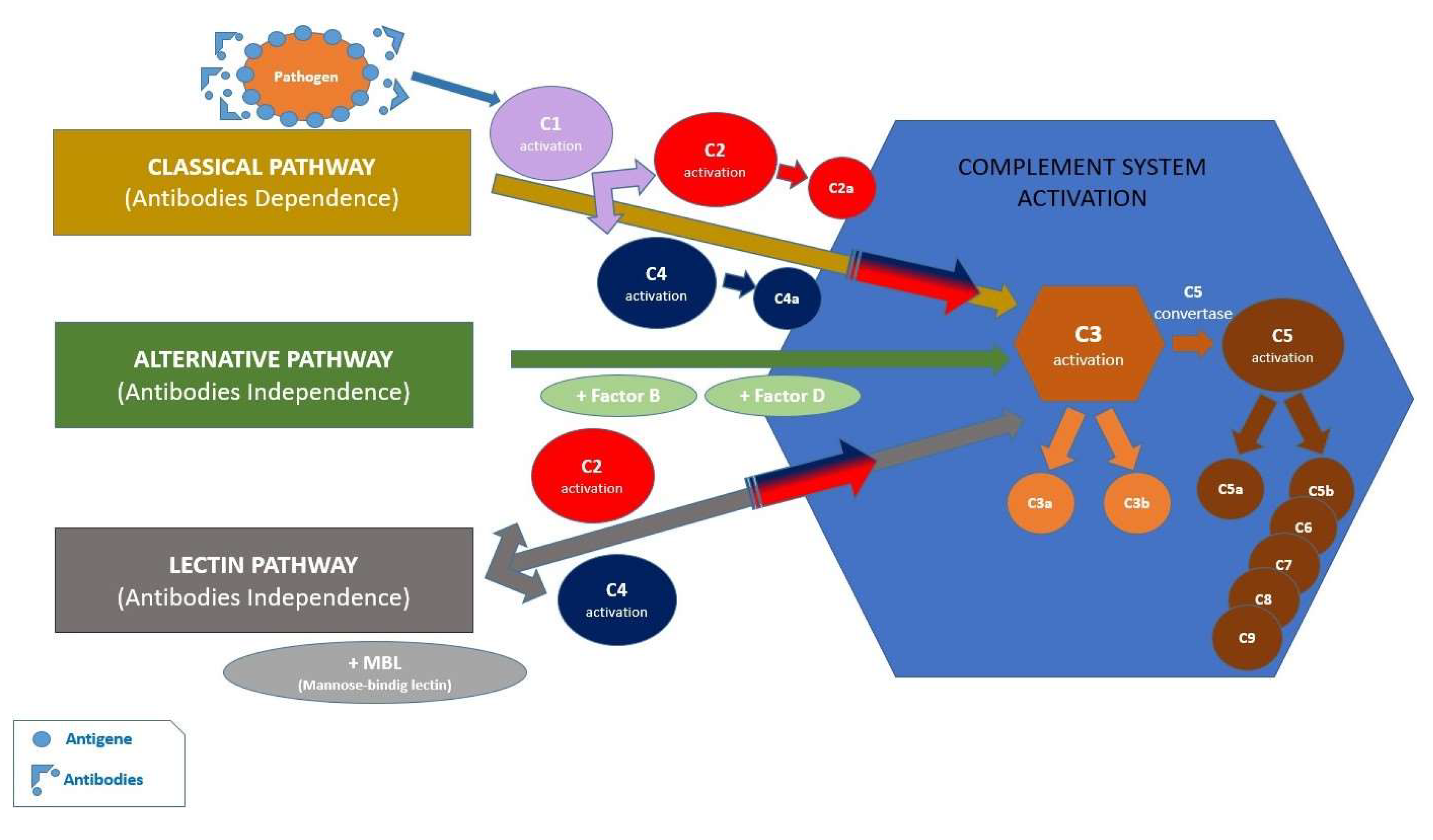 Preprints 95199 g003