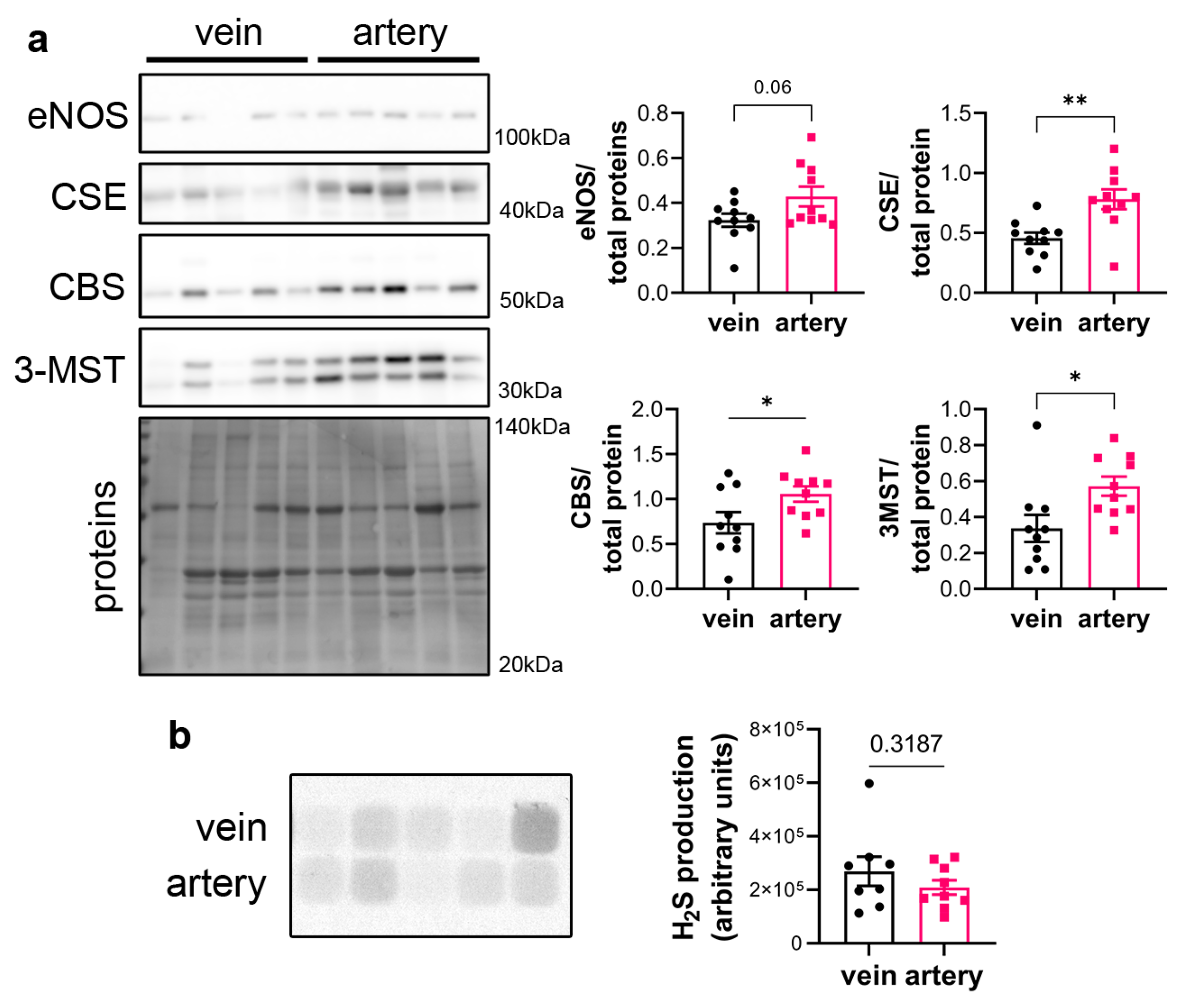 Preprints 79339 g001